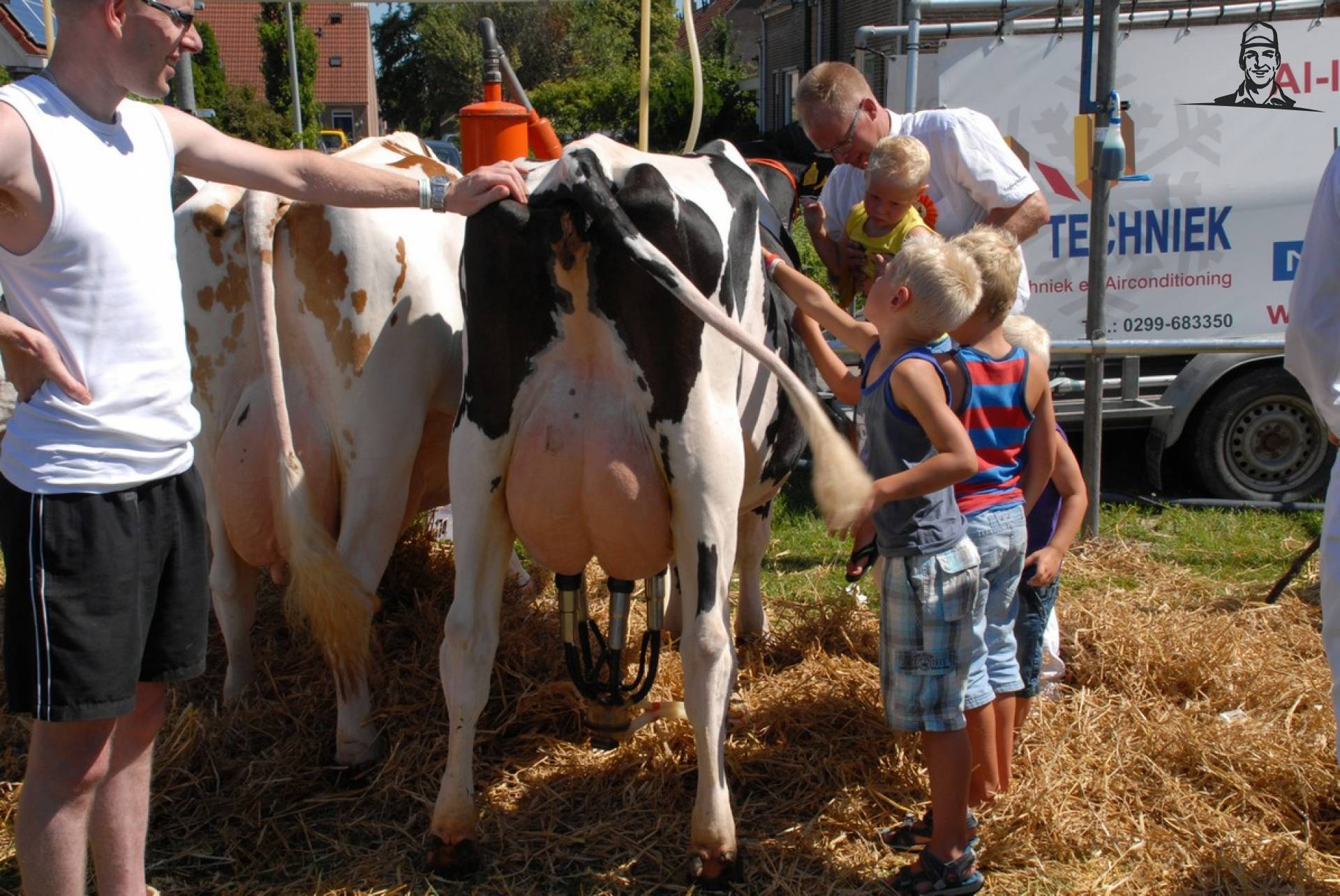 Foto's Rundveekeuring Landbouwshow Opmeer van Grasbaal