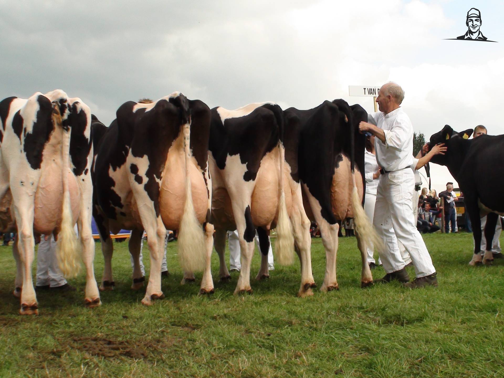 Groep Teus van Dijk van Grasbaal