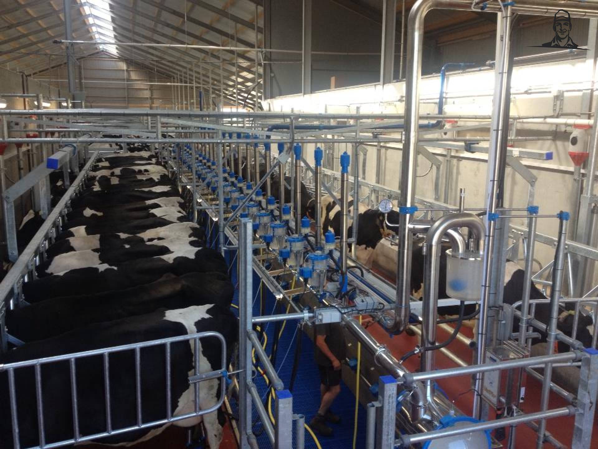 melkstal 2x22 swingover van chef-mf