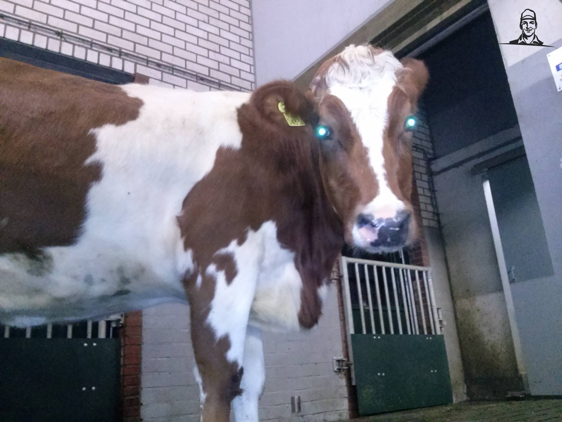 Vaars van Fiat110-90 DT