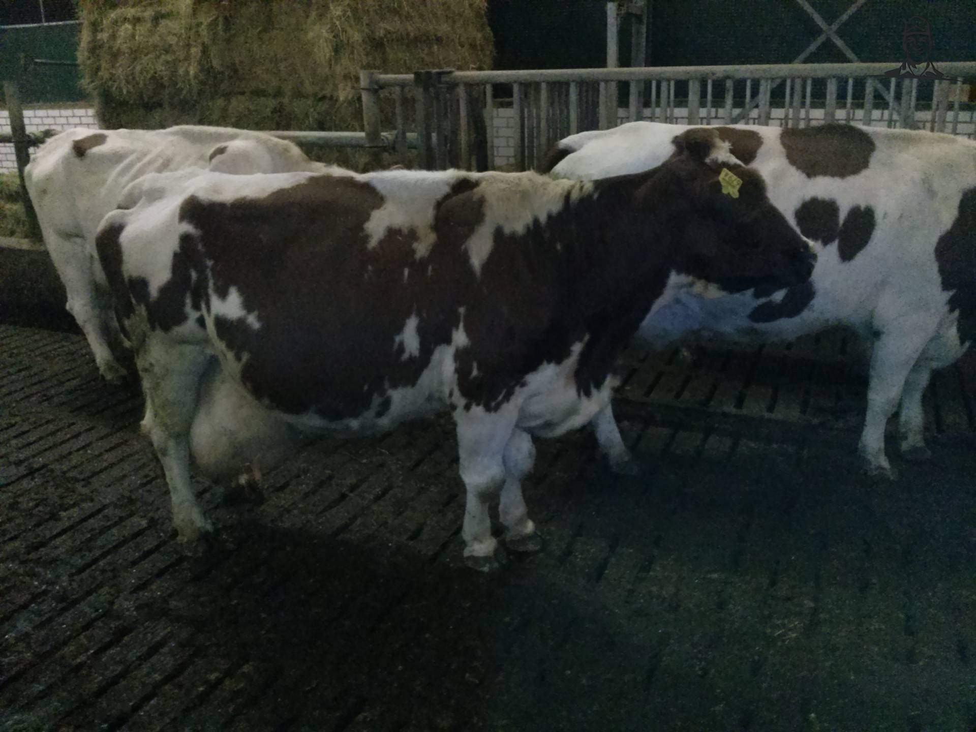 Oma van Fiat110-90 DT