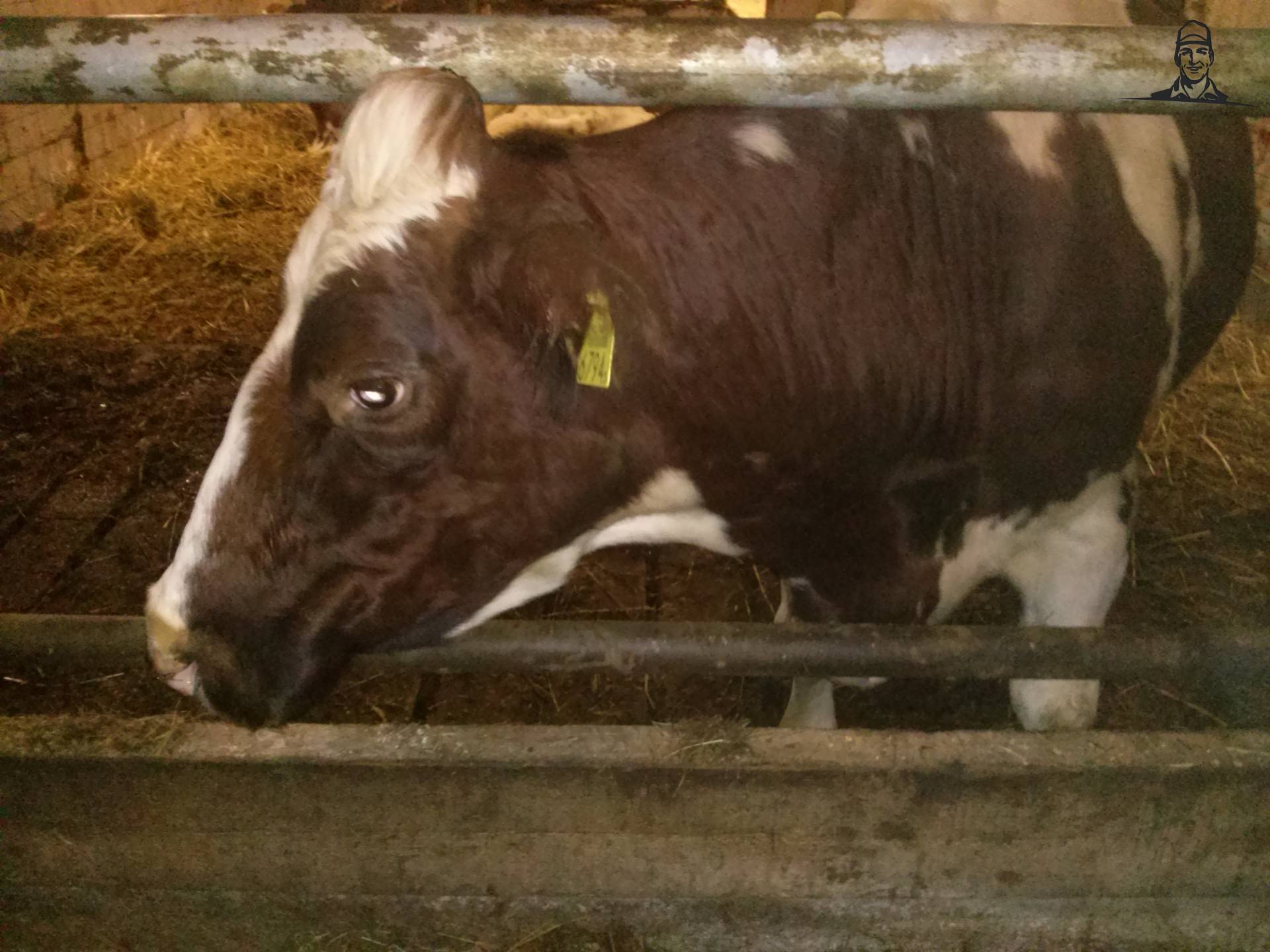 Oma van Fiat110-90 DT