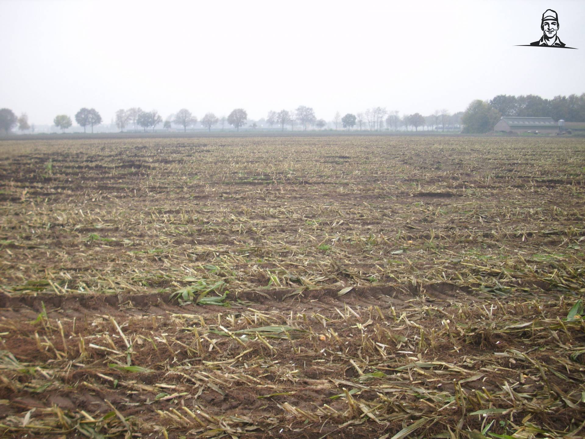 Maisperceel, 3 hectare, 18-11-2013. van JD6930