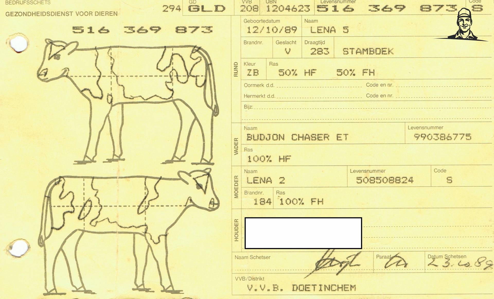 Het werk van mijn vader van dickt