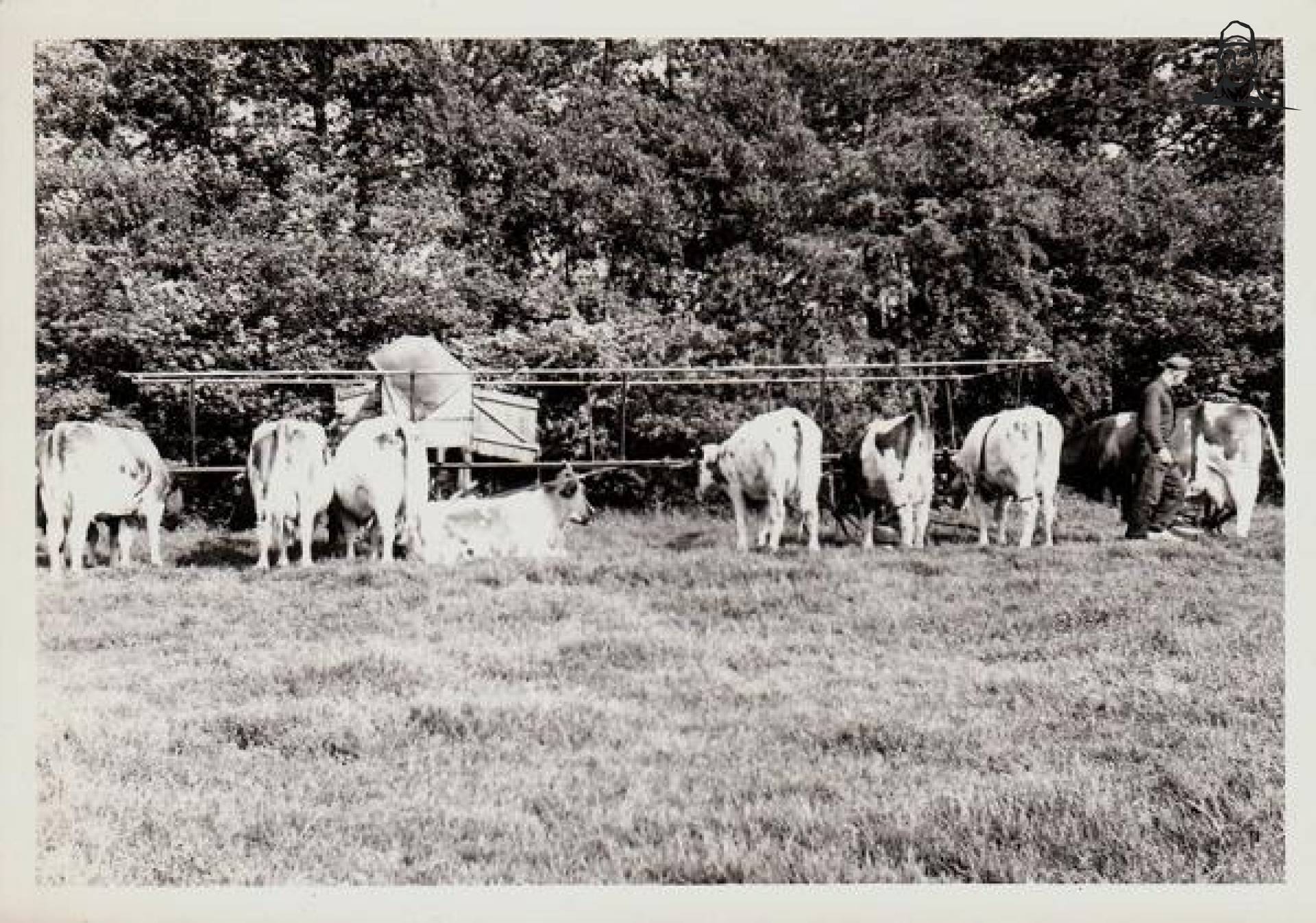 melken van arno herbrink
