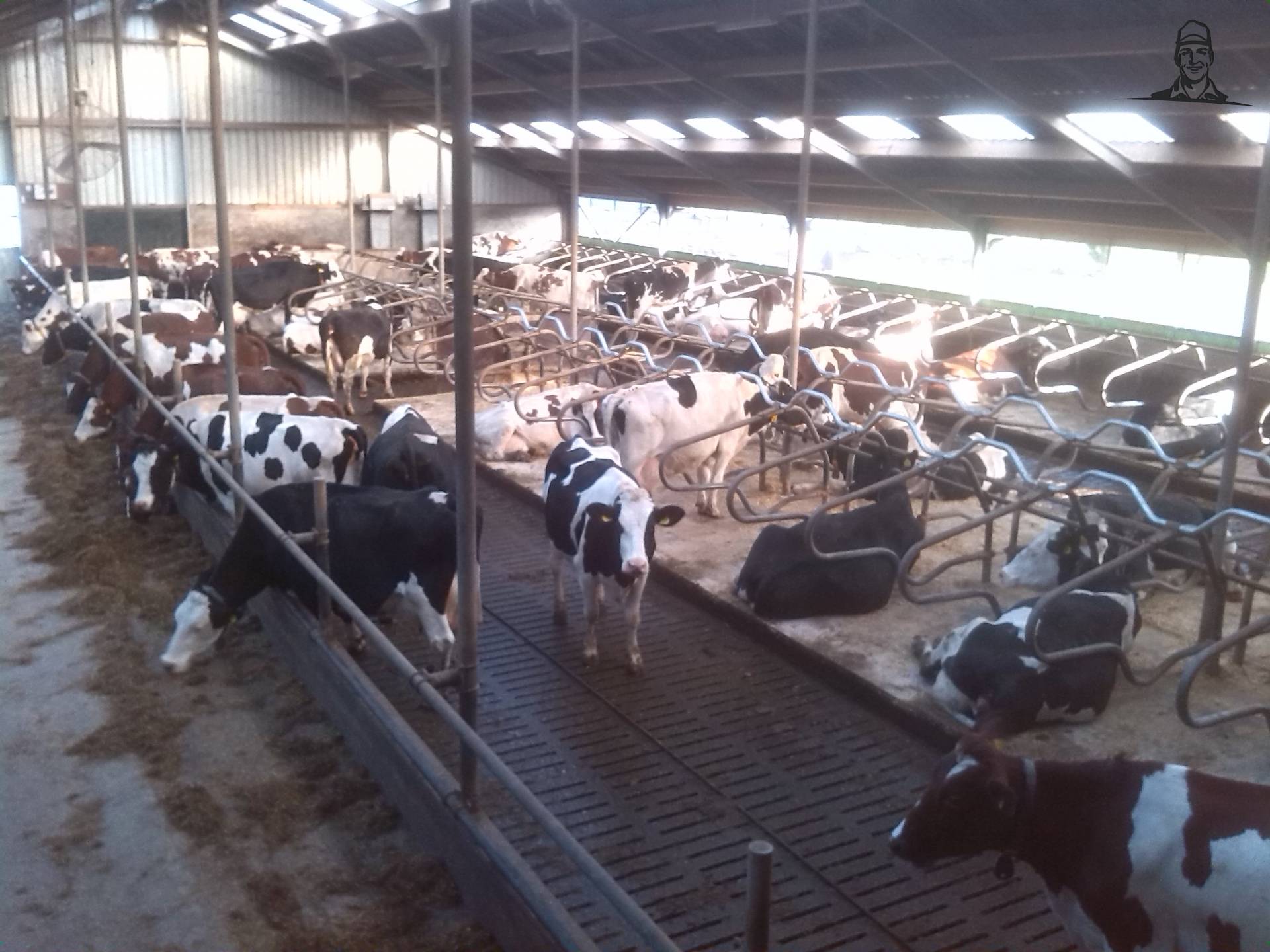 Stal van johndeere6230