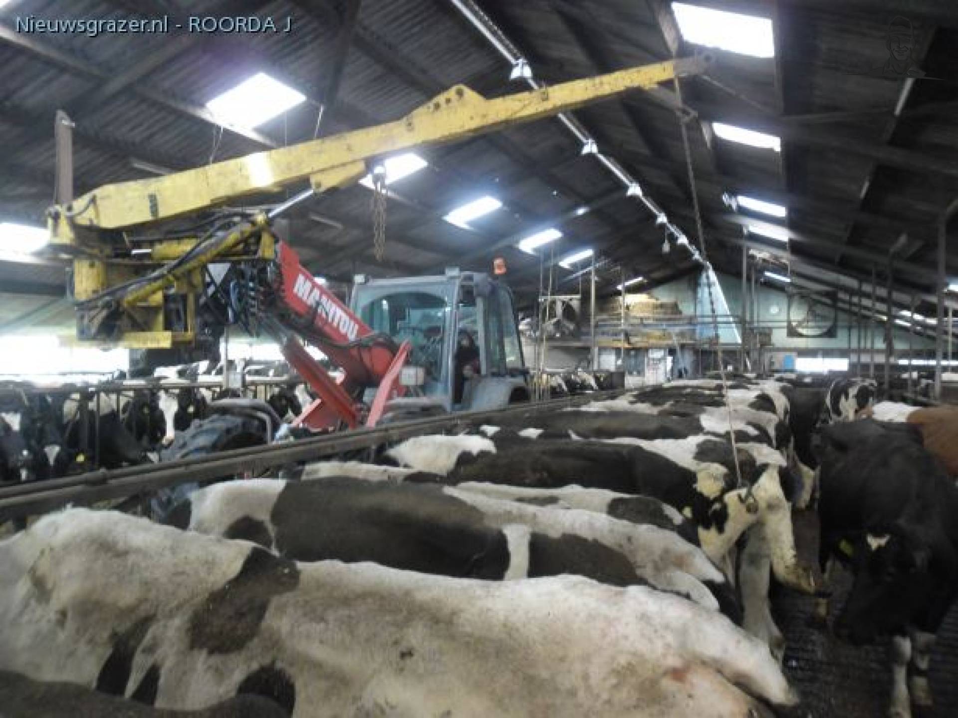 Voerhekmethode - Foto van ROORDA J van ROORDA J