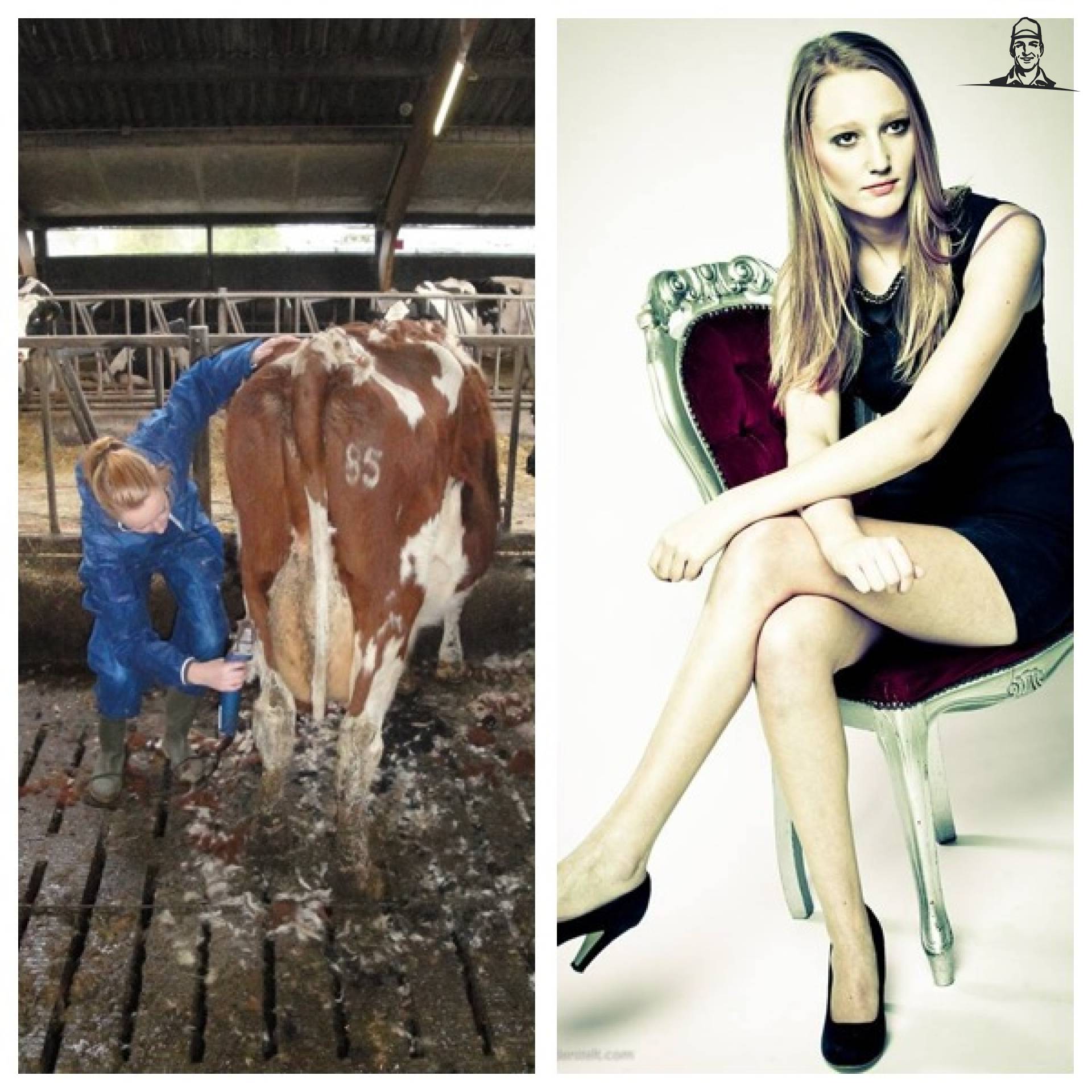 Mooie dame tussen de koeien van Co Schipper