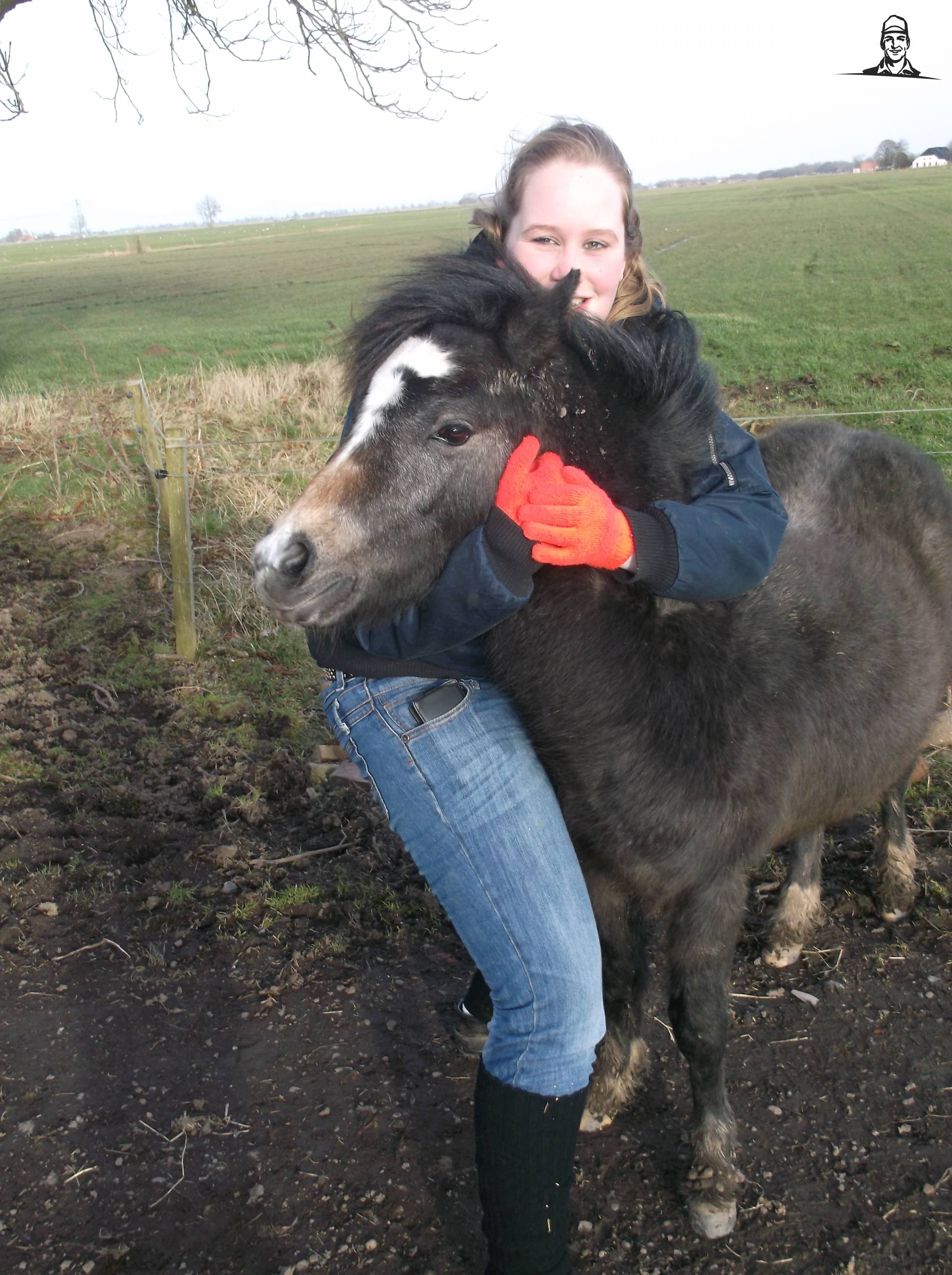 pony beest van hvelt
