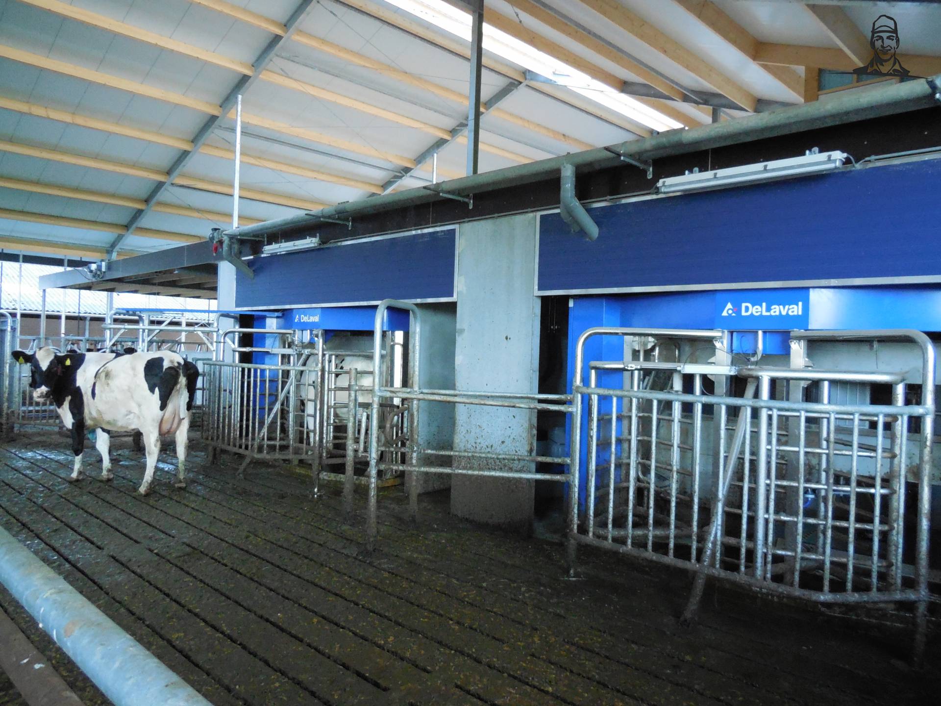 Nieuwe stal van danny_ford