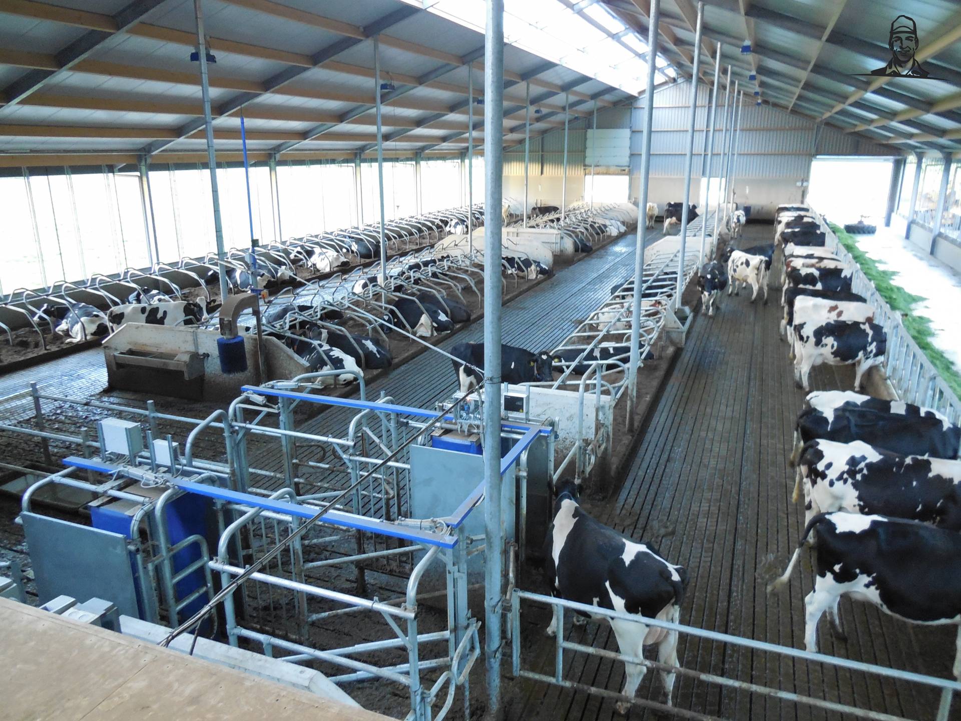 Nieuwe stal van danny_ford