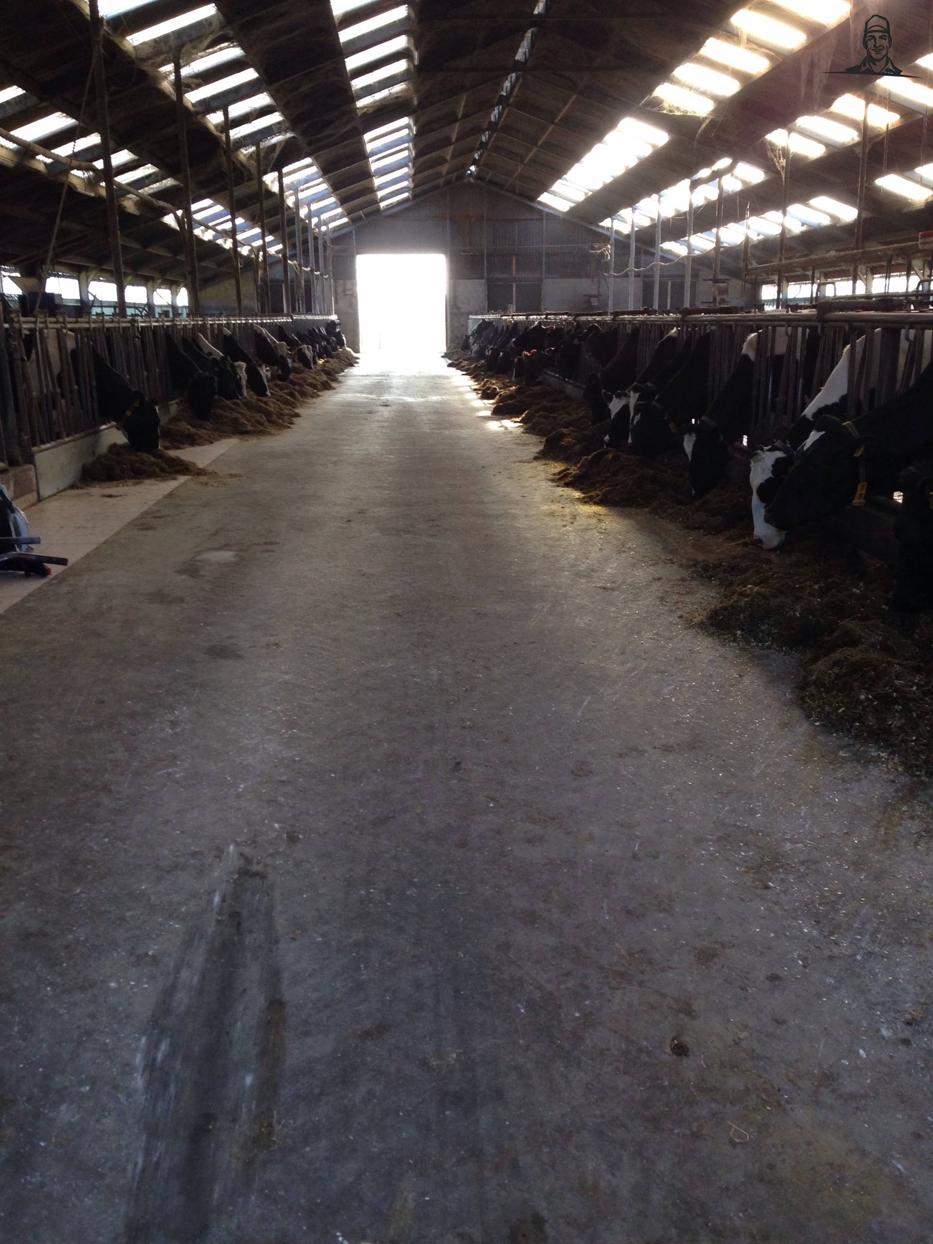 De stal van bram power