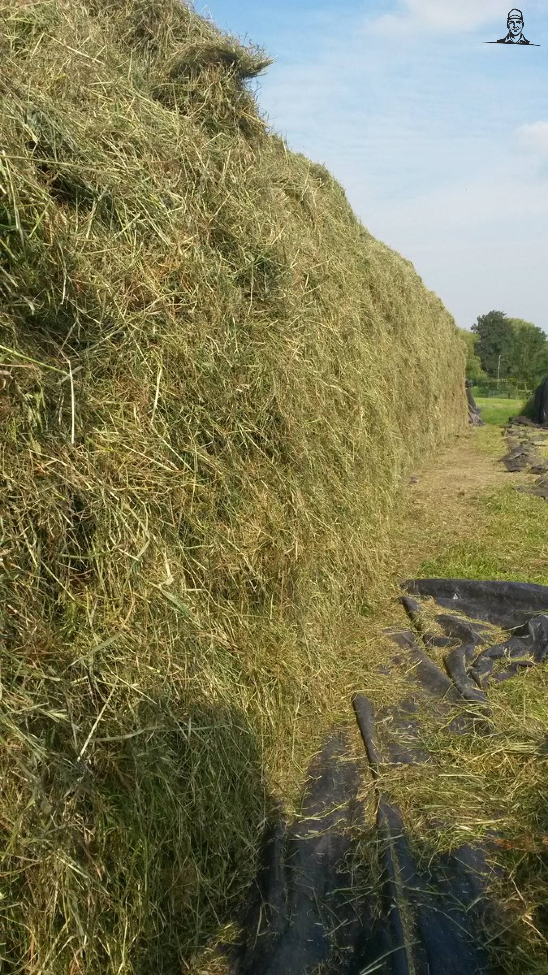 Shit, dr zit een bocht in de kuil van Nieuwsgrazer