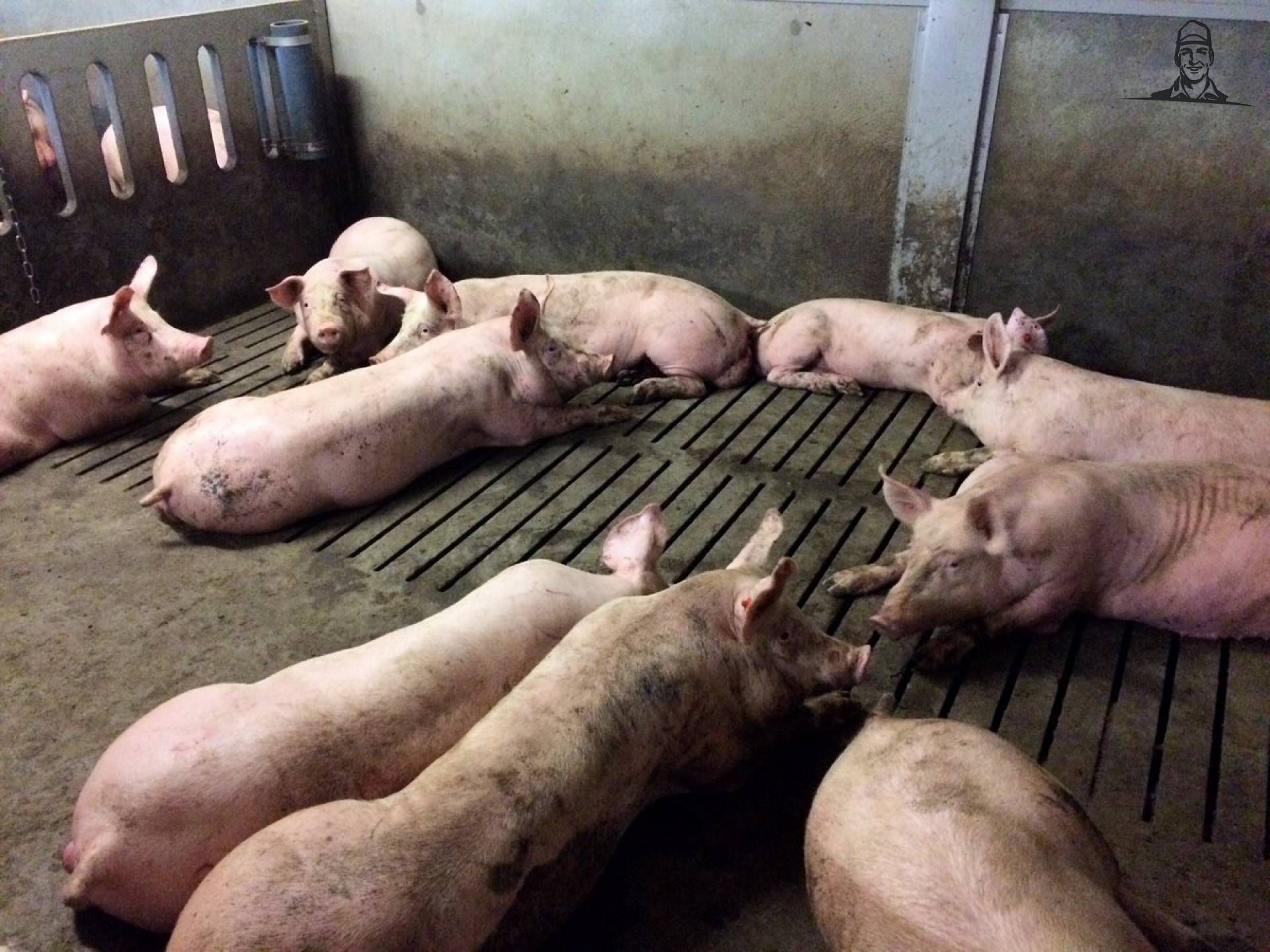 De heren maken zich niet al te druk van Nieuwsgrazer