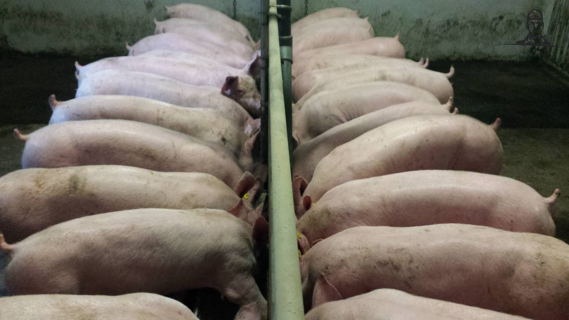 Mooi hè,  om er een latje op te leggen van Nieuwsgrazer