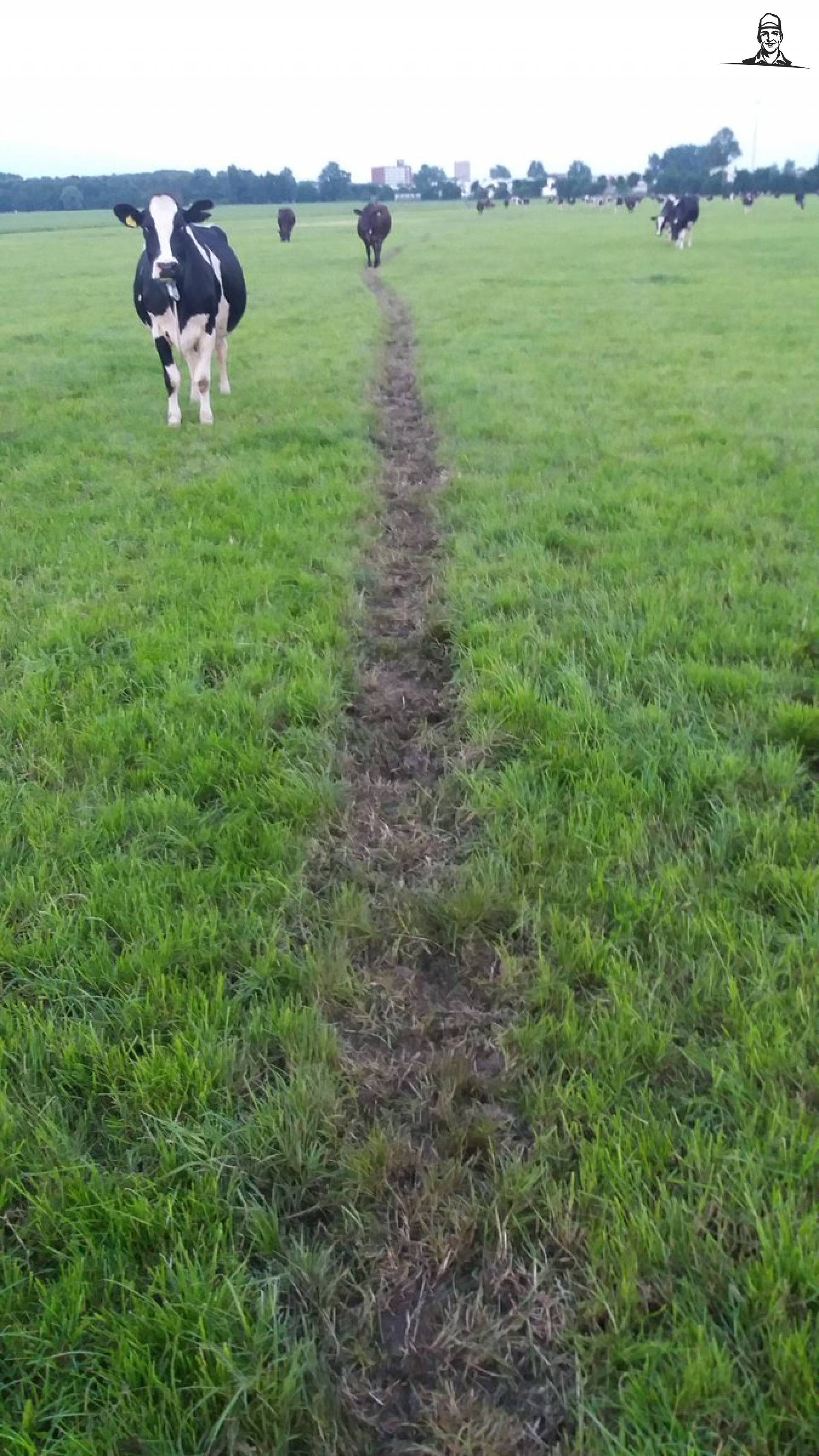 Vind dit altijd zo maf van Nieuwsgrazer