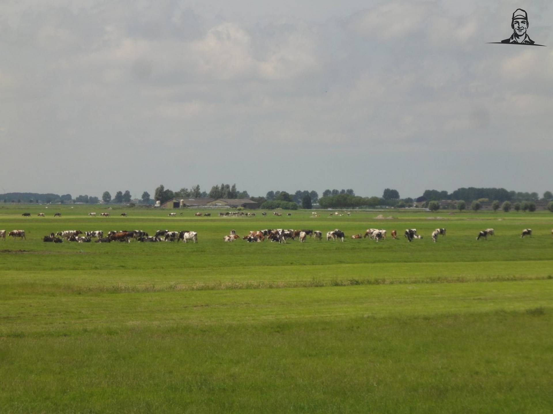 Gezien tijdens rondje #wijngaard van Nieuwsgrazer