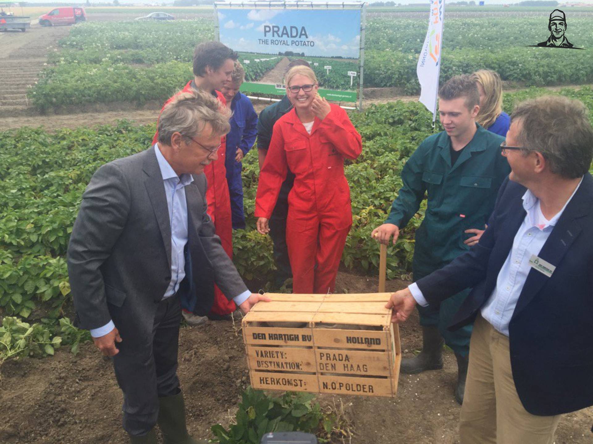 De eerste Prada aardappels zijn geoogst in de Noordoostpolder van Nieuwsgrazer