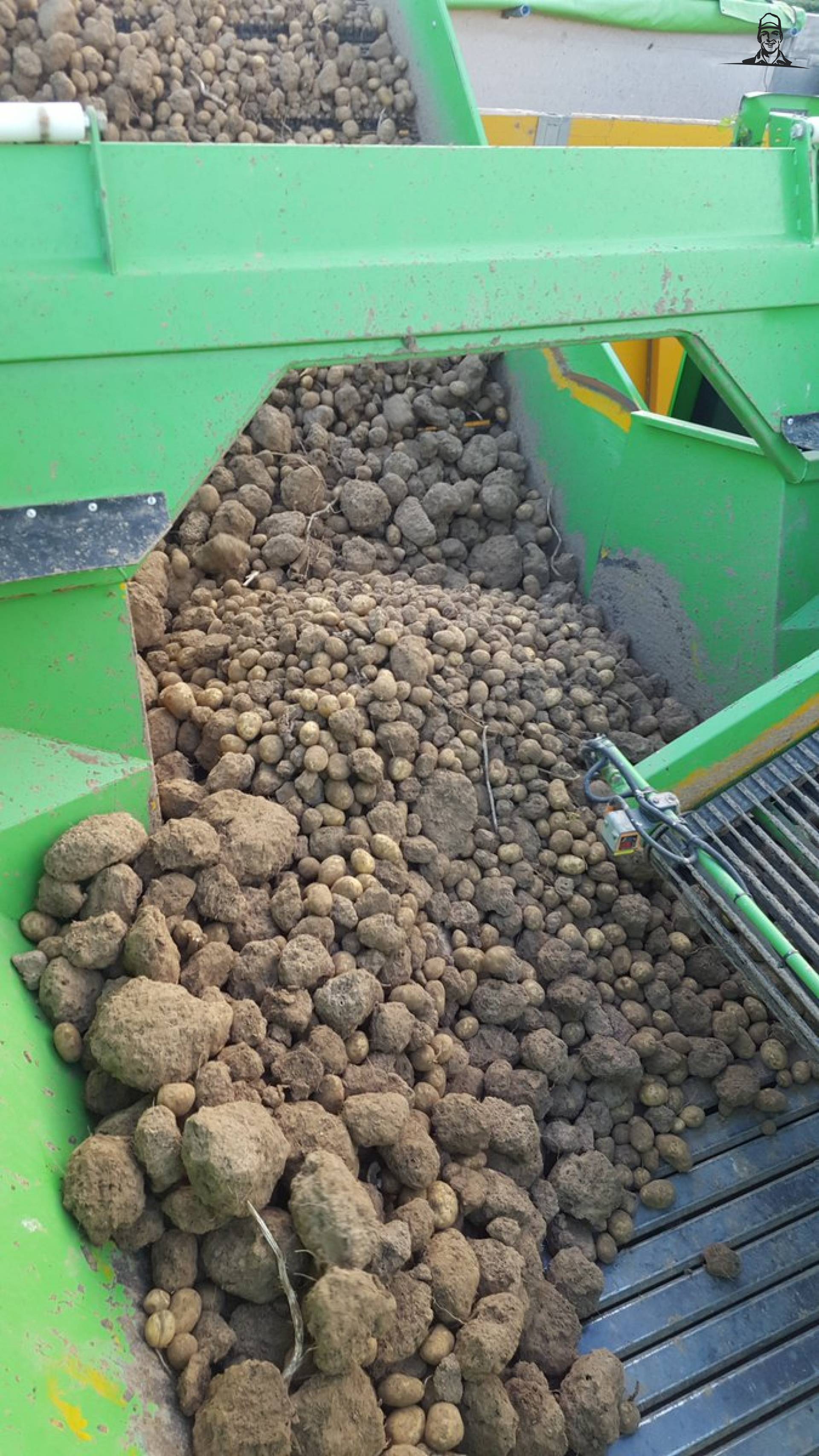 rooien kunnen we voorlopig wel vergeten, te droog! #aardappelmarkt  van Nieuwsgrazer
