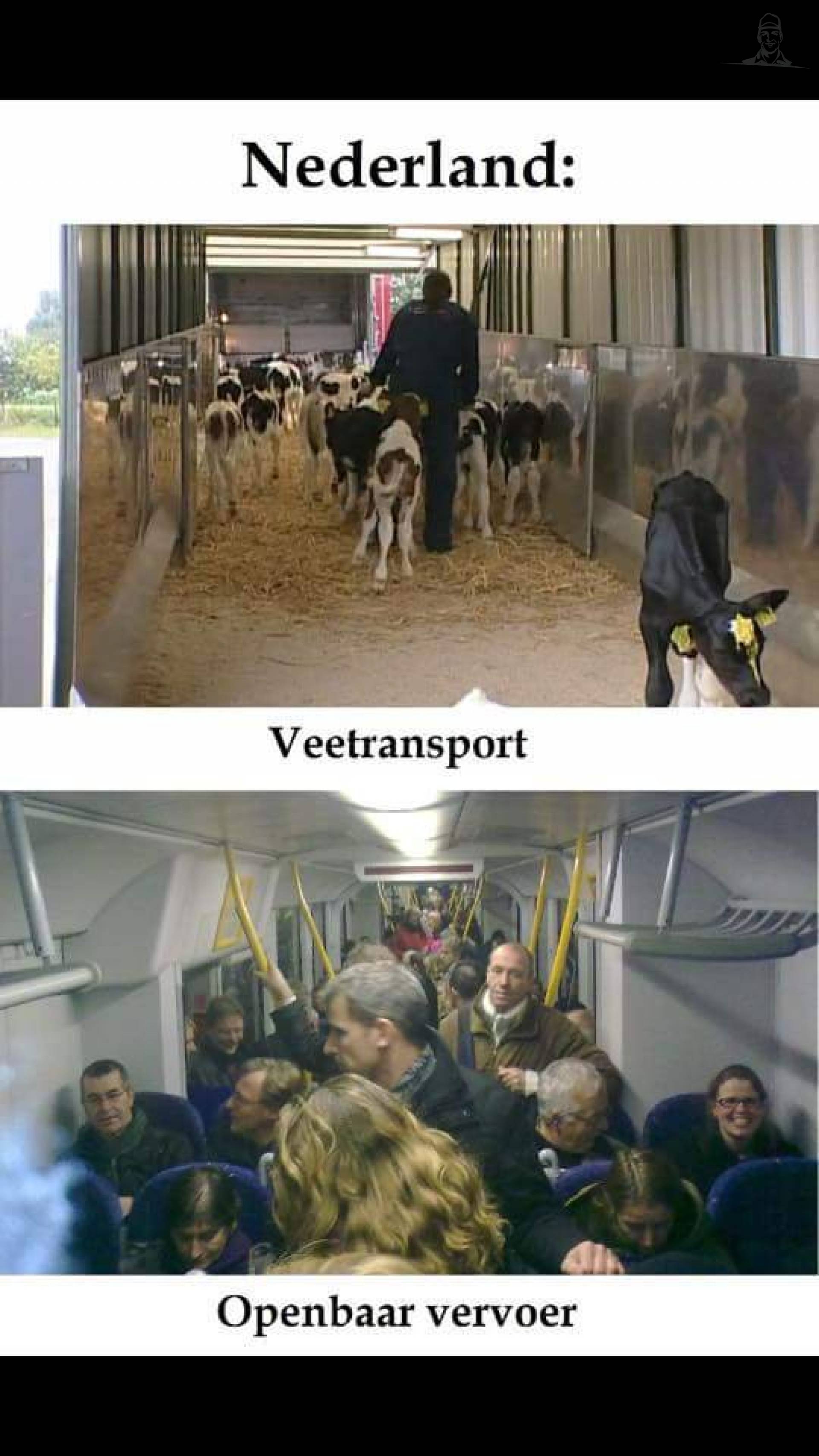 Behoeft geen uitleg, foto's zeggen alles
(Bron: Armando Noordman)  van Nieuwsgrazer