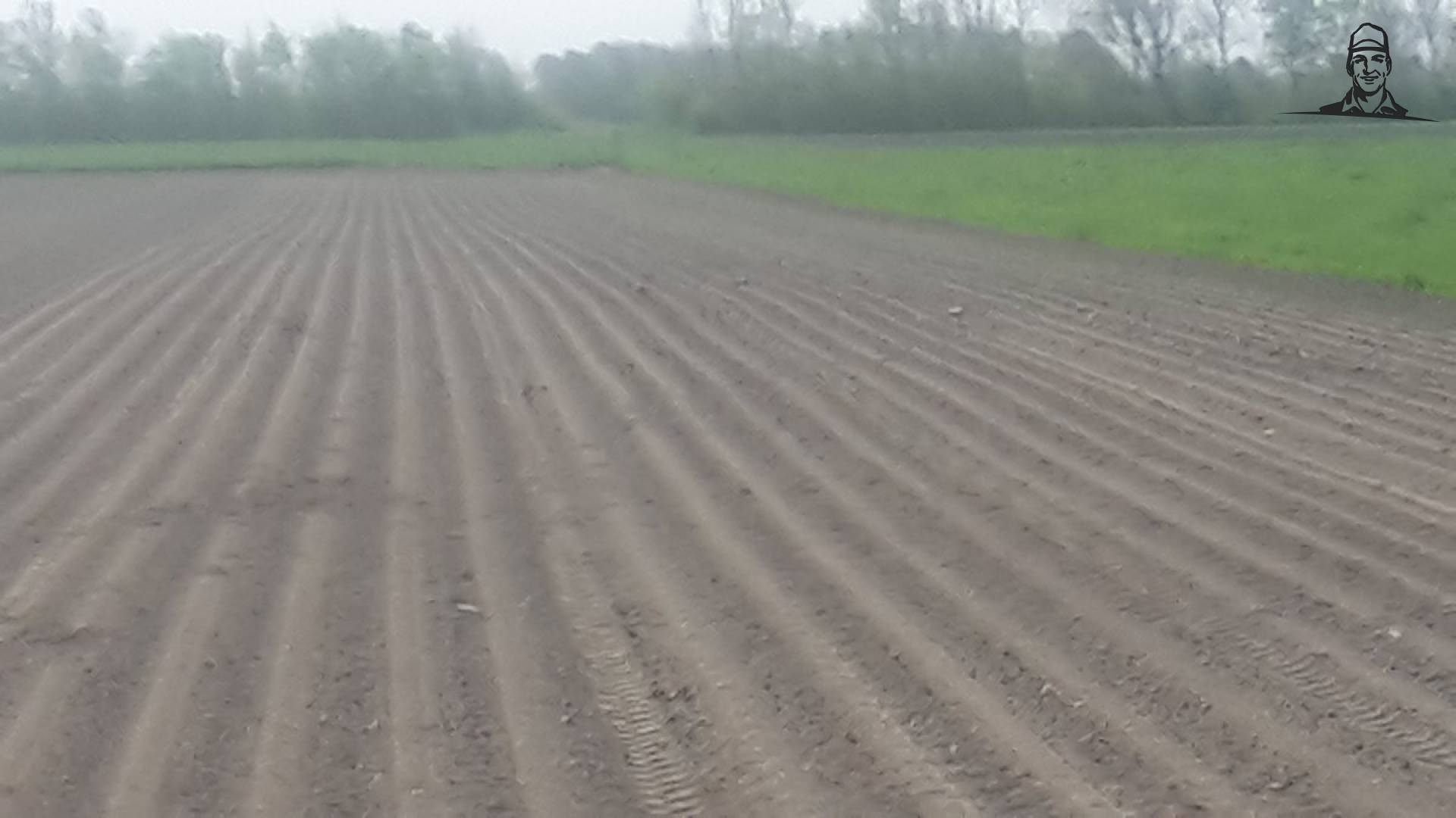 de eerste zaaiuien worden hier ook gezaaid van Nieuwsgrazer