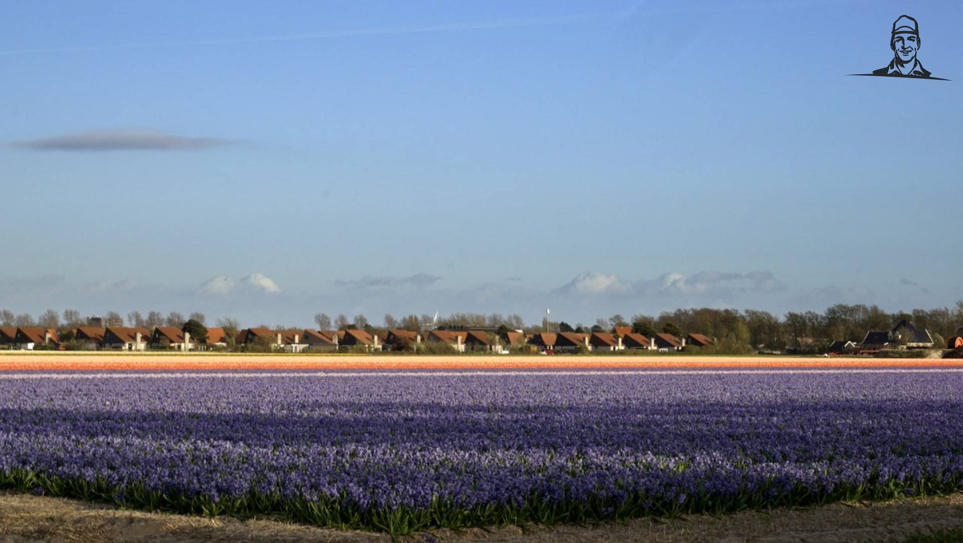 Het is zover van Nieuwsgrazer