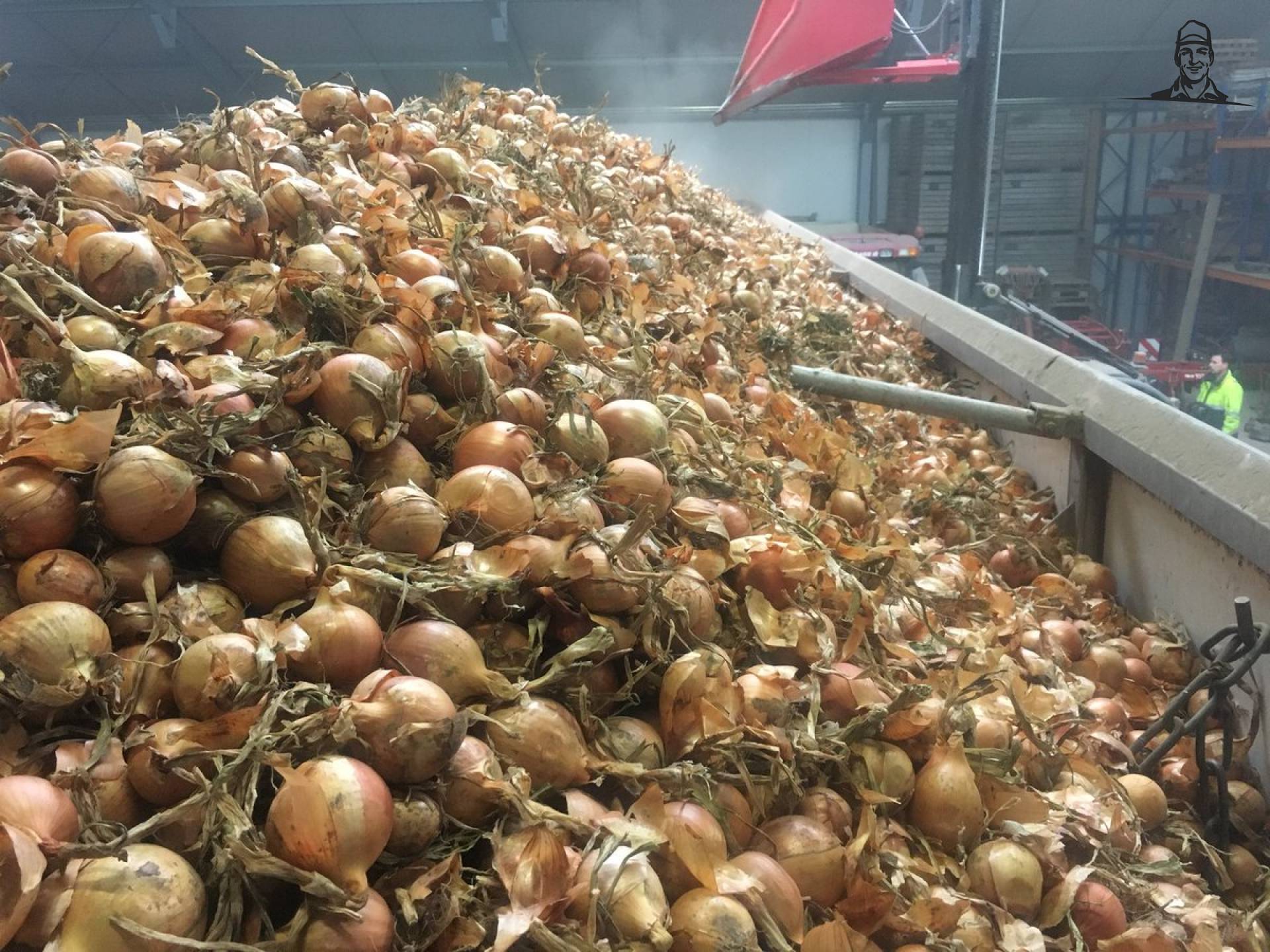 Van oude #oogst2017 naar nieuwe #oogst2018  #Dormo @Waterman_Onions  van Nieuwsgrazer