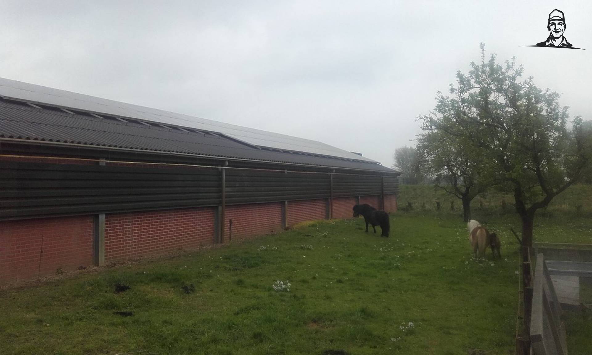 Kuikens in bijna klimaat neutrale stal met zonnepanelen en zonder aardgas van Nieuwsgrazer