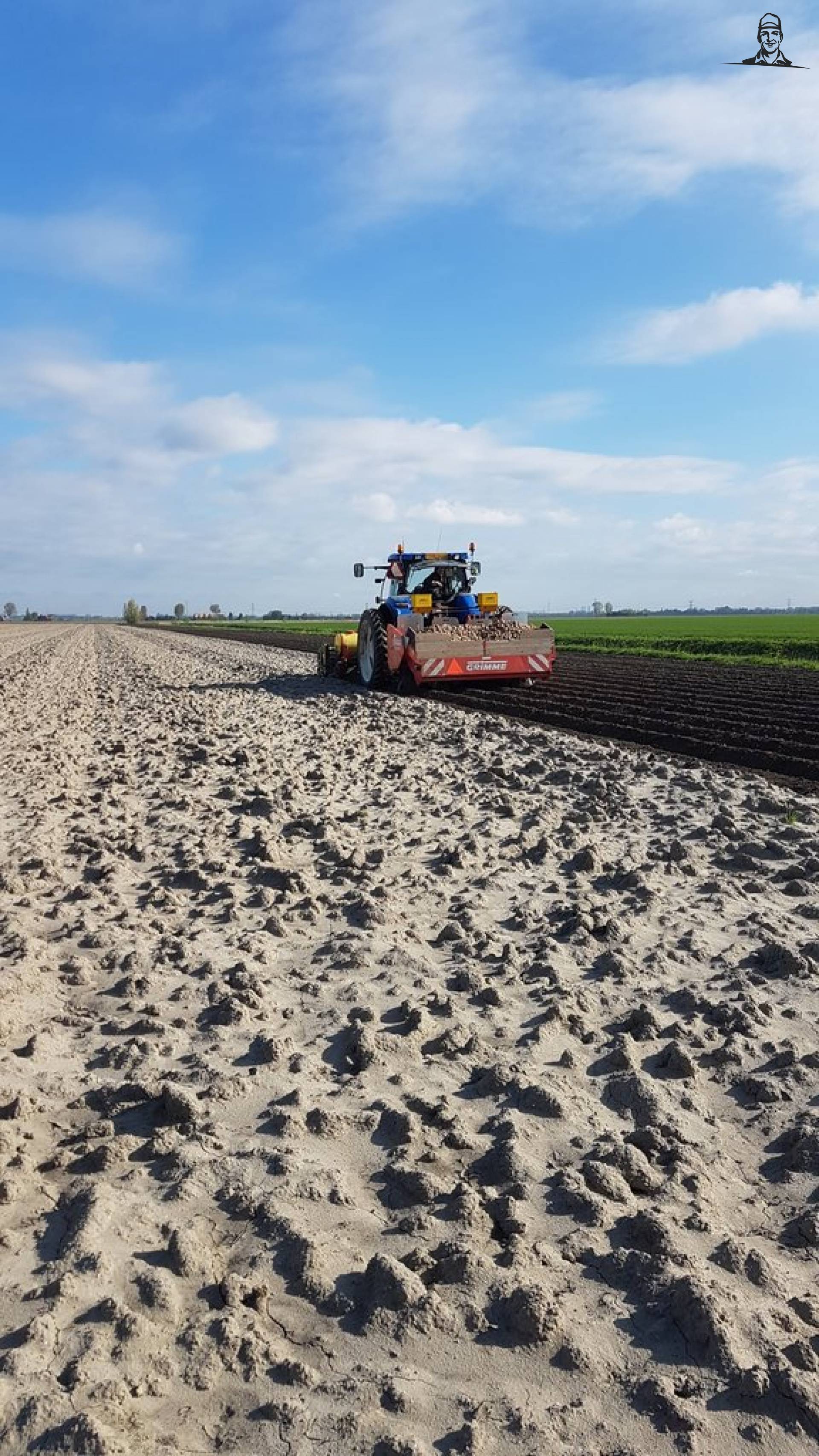 De eerste aardappels gaan weer de grond in van Nieuwsgrazer