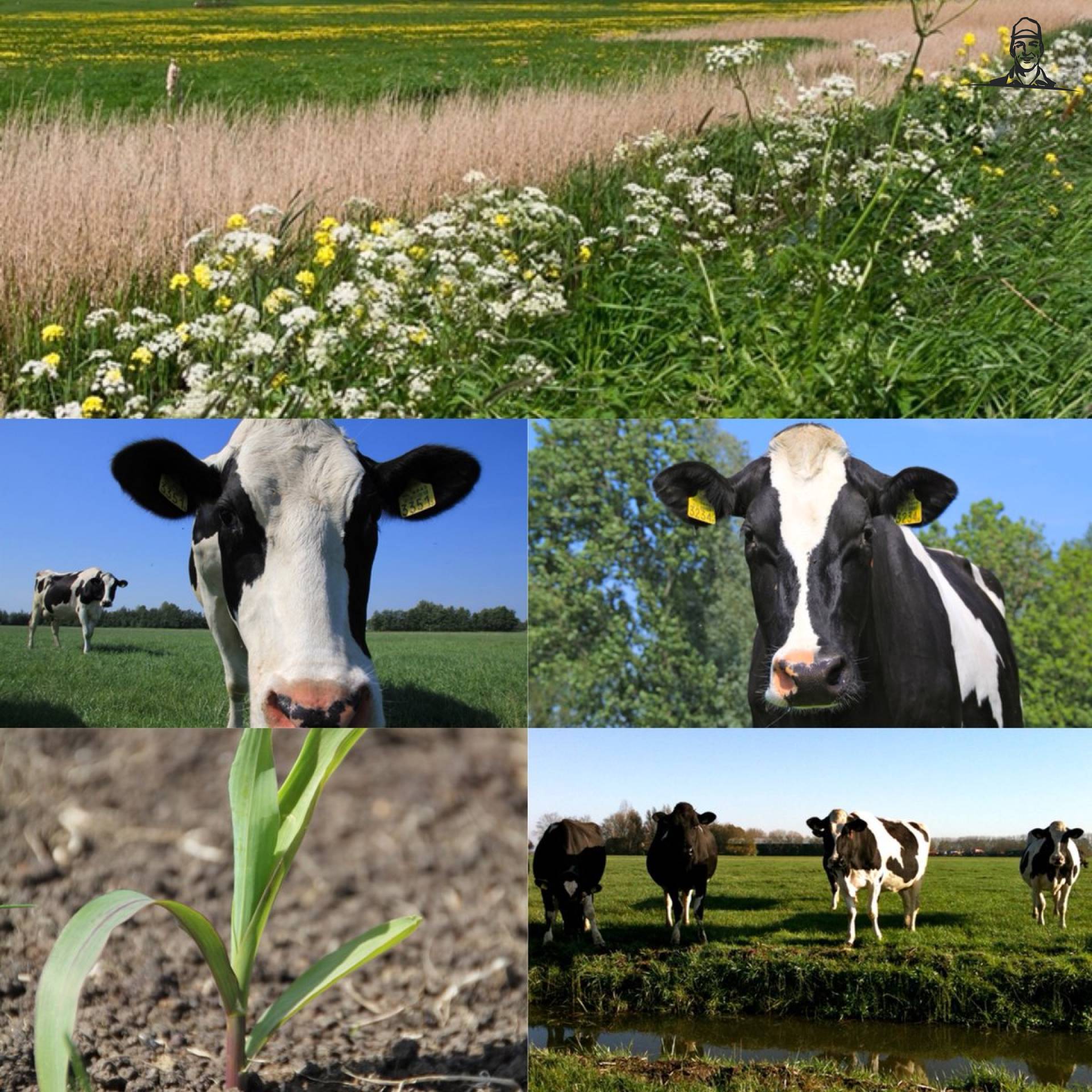 Zomaar wat #landschapspracht gespot, op de fiets door de... van Nieuwsgrazer