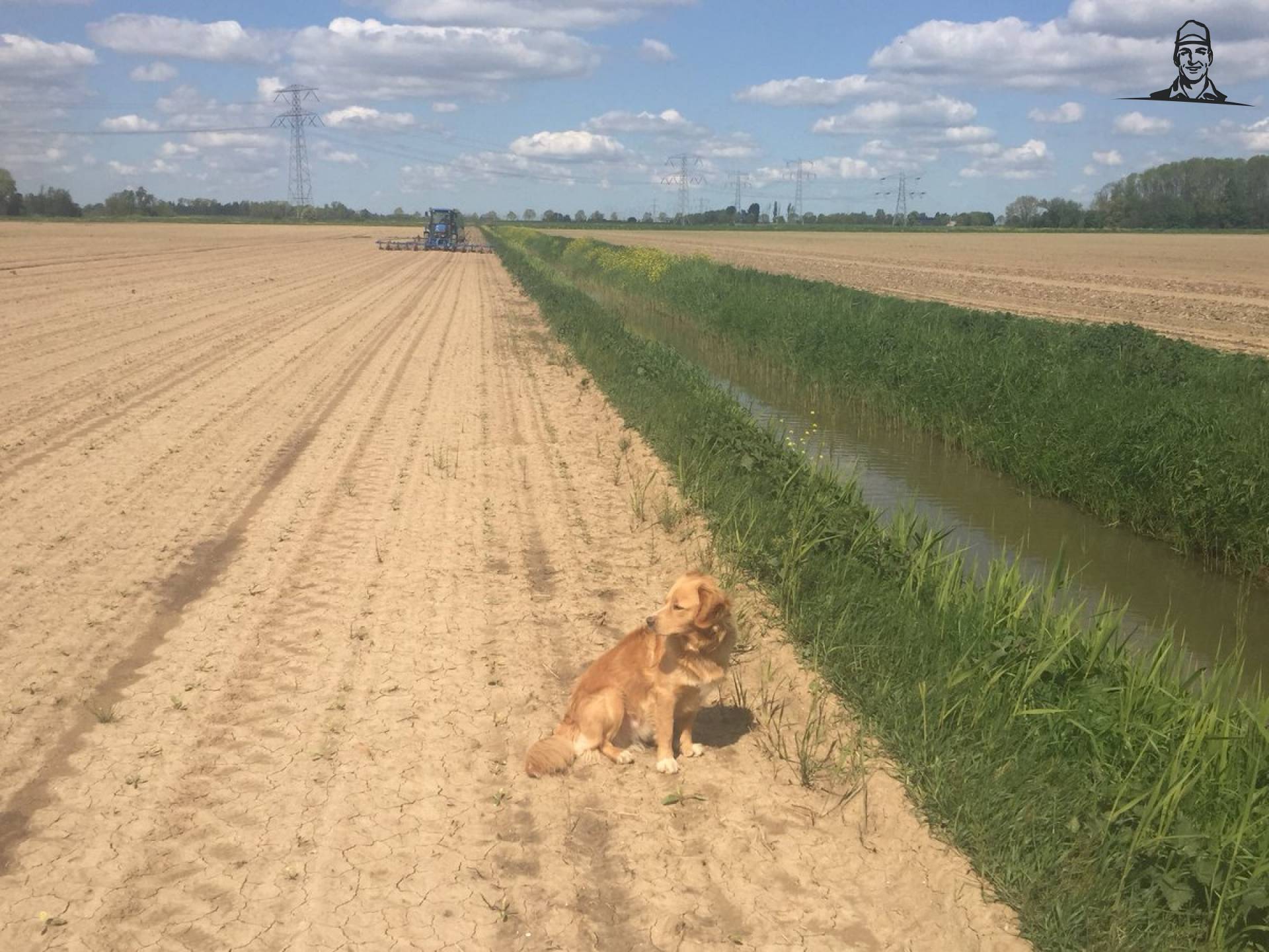 En volle bak biodiversiteit op de akker  van Nieuwsgrazer