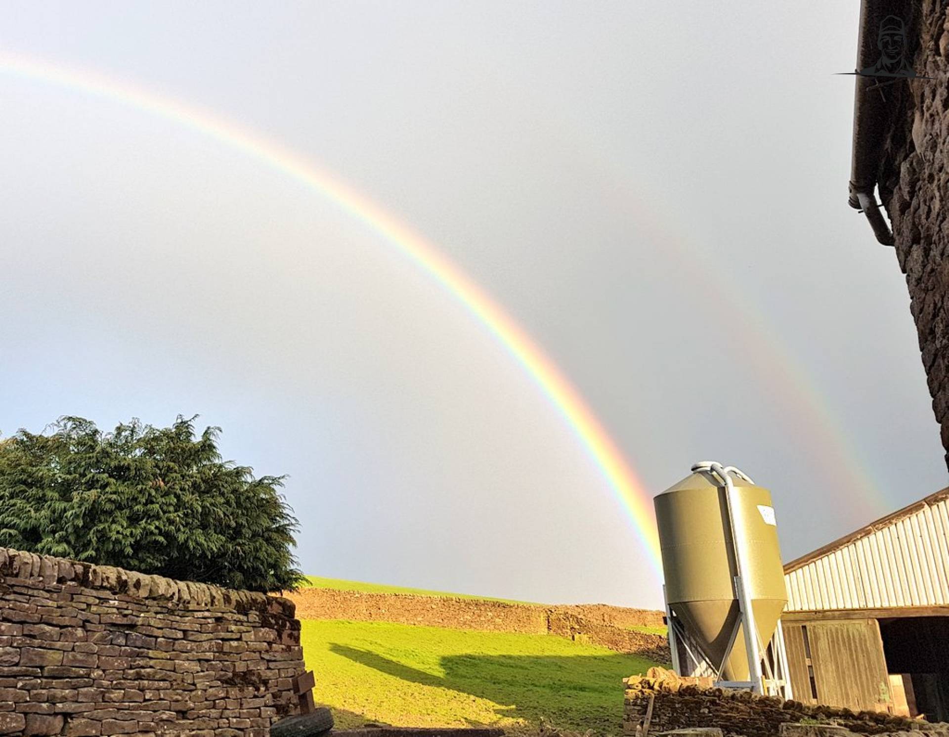 Ten tonne bulk hopper now full of gold!! van Nieuwsgrazer