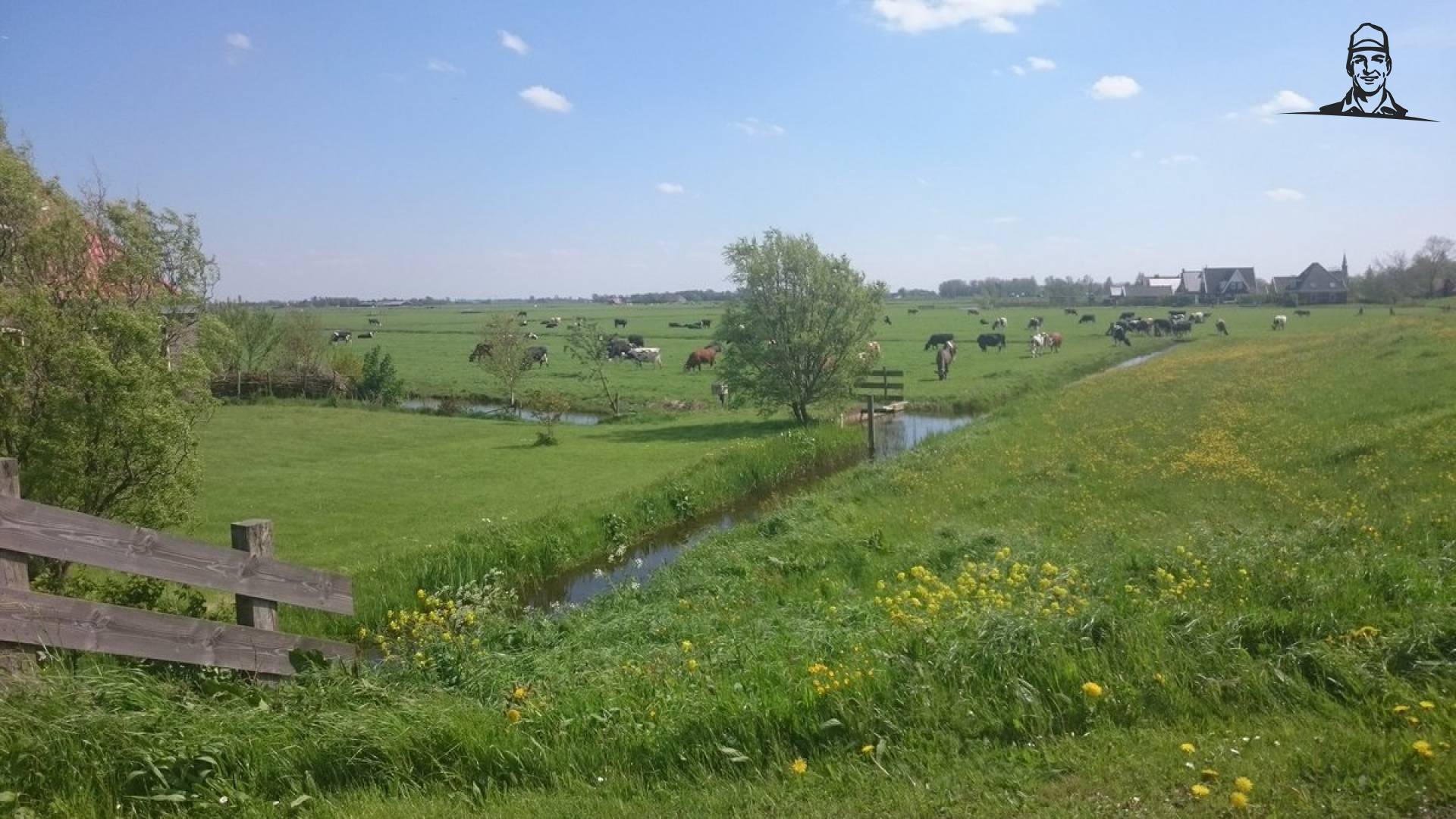 #Landschapspracht een alledaags plaatje bij mij aan de dijk #NH  van Nieuwsgrazer