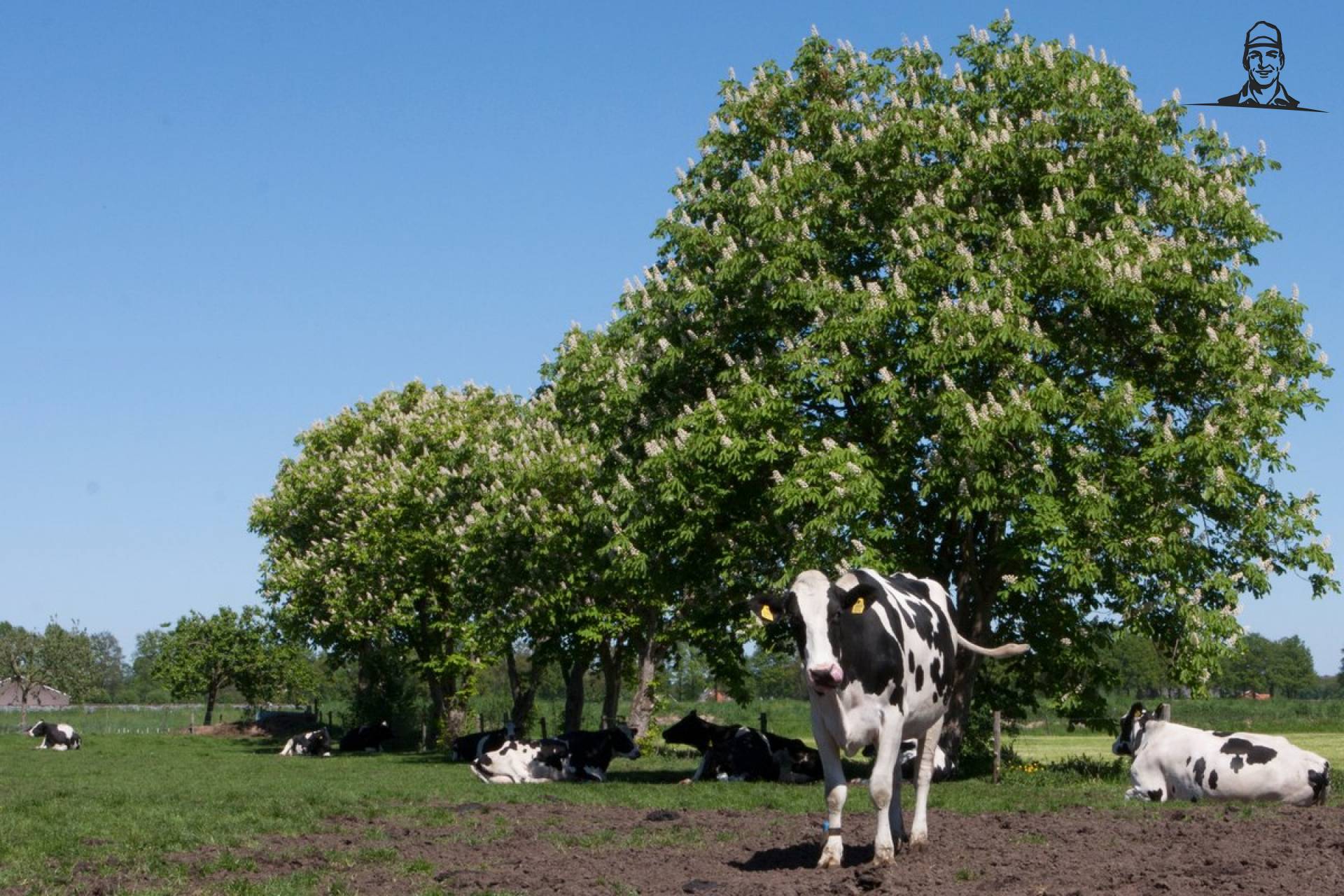 #Lazysunday voor Judith 30 van Nieuwsgrazer