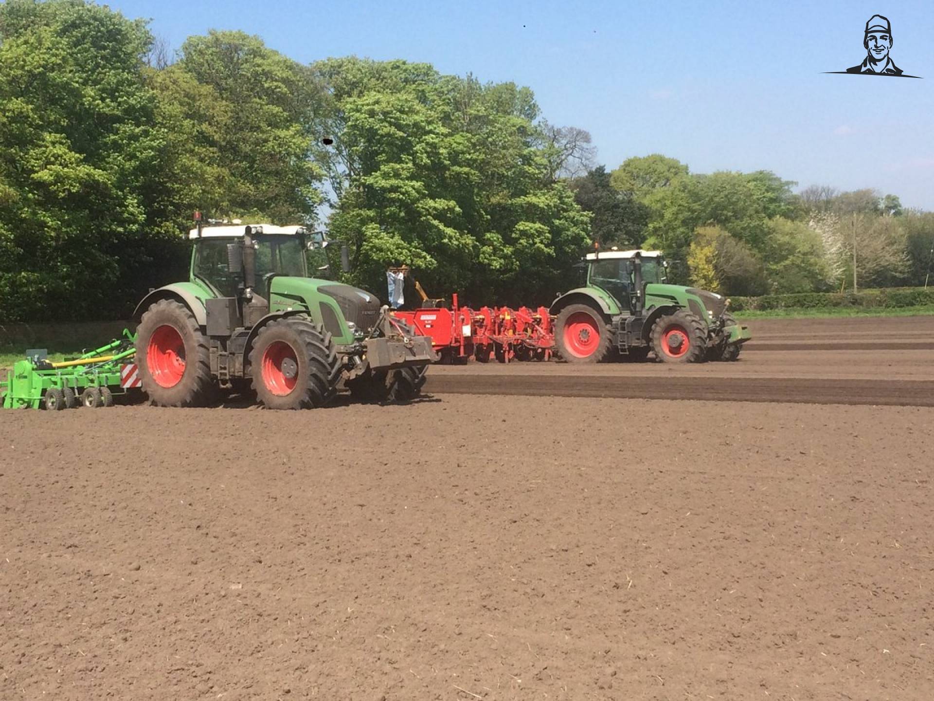 Planting lady rosetta for @SPPotatoes  van Nieuwsgrazer
