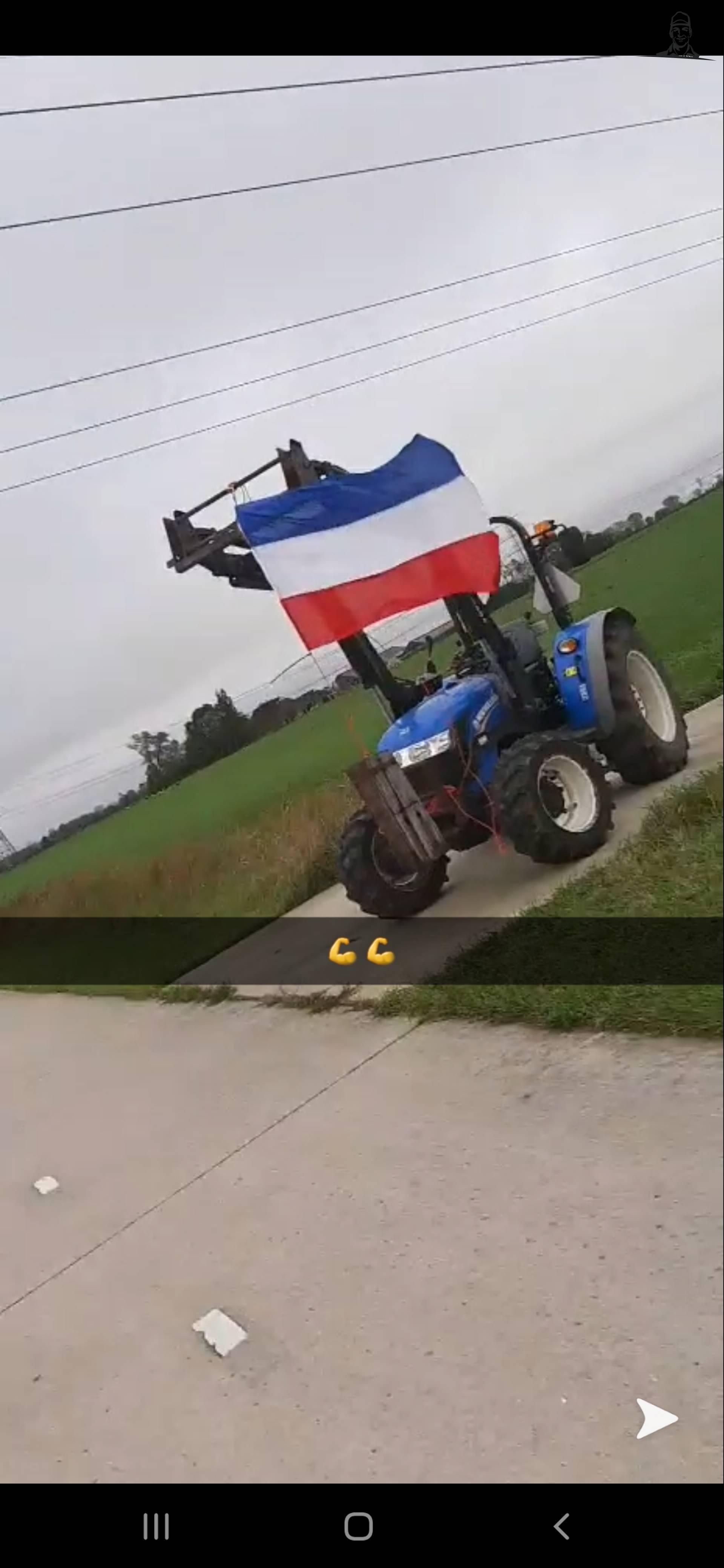 Dutch farmers protest van thijs-grijsen
