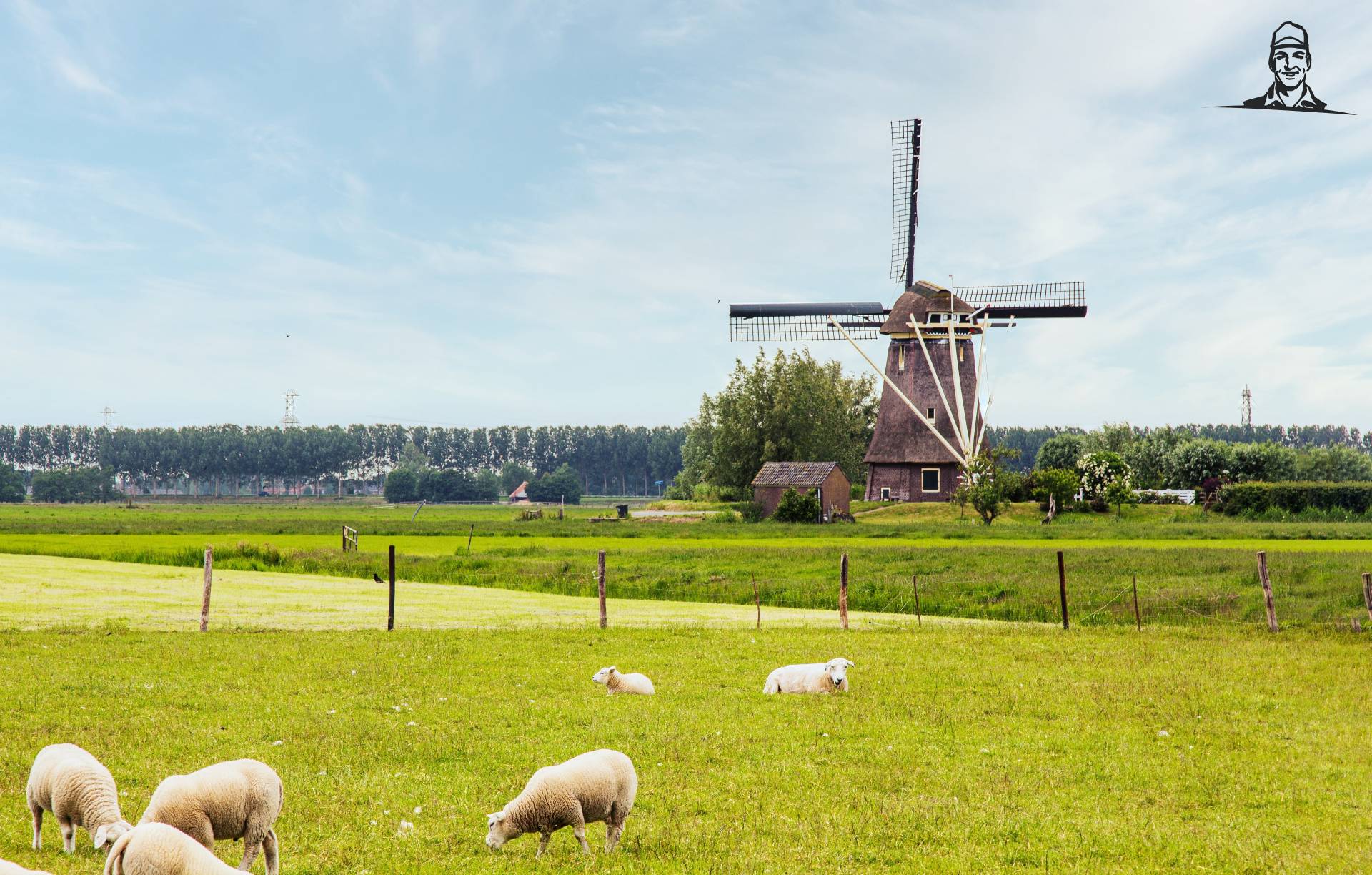 Prachtig Nederlands landschap Photo by E Mens on Unsplash