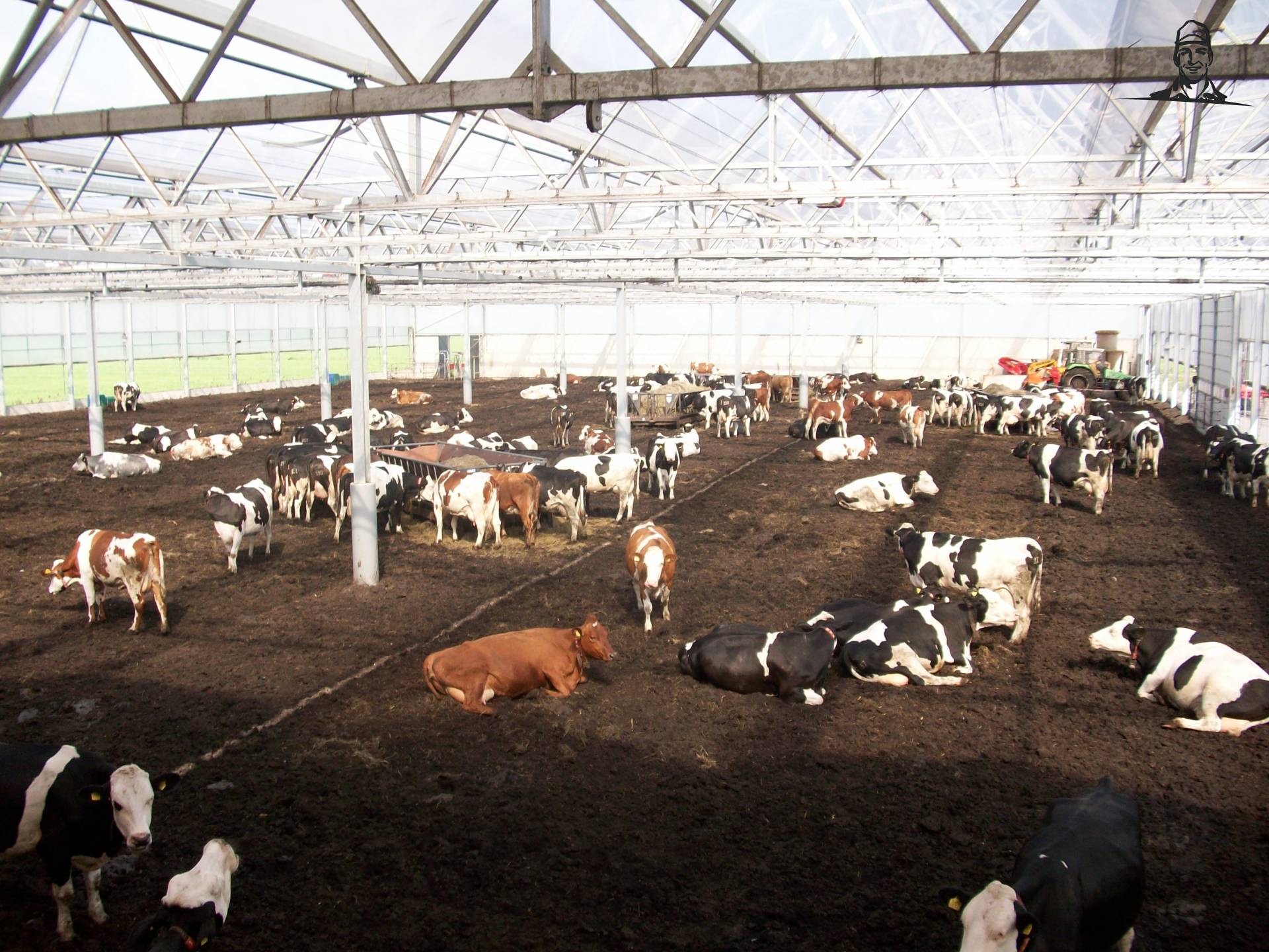 De vrijloopstal speelt in op de behoeften van de koe, de boer en de omgeving. Het verandert veel...