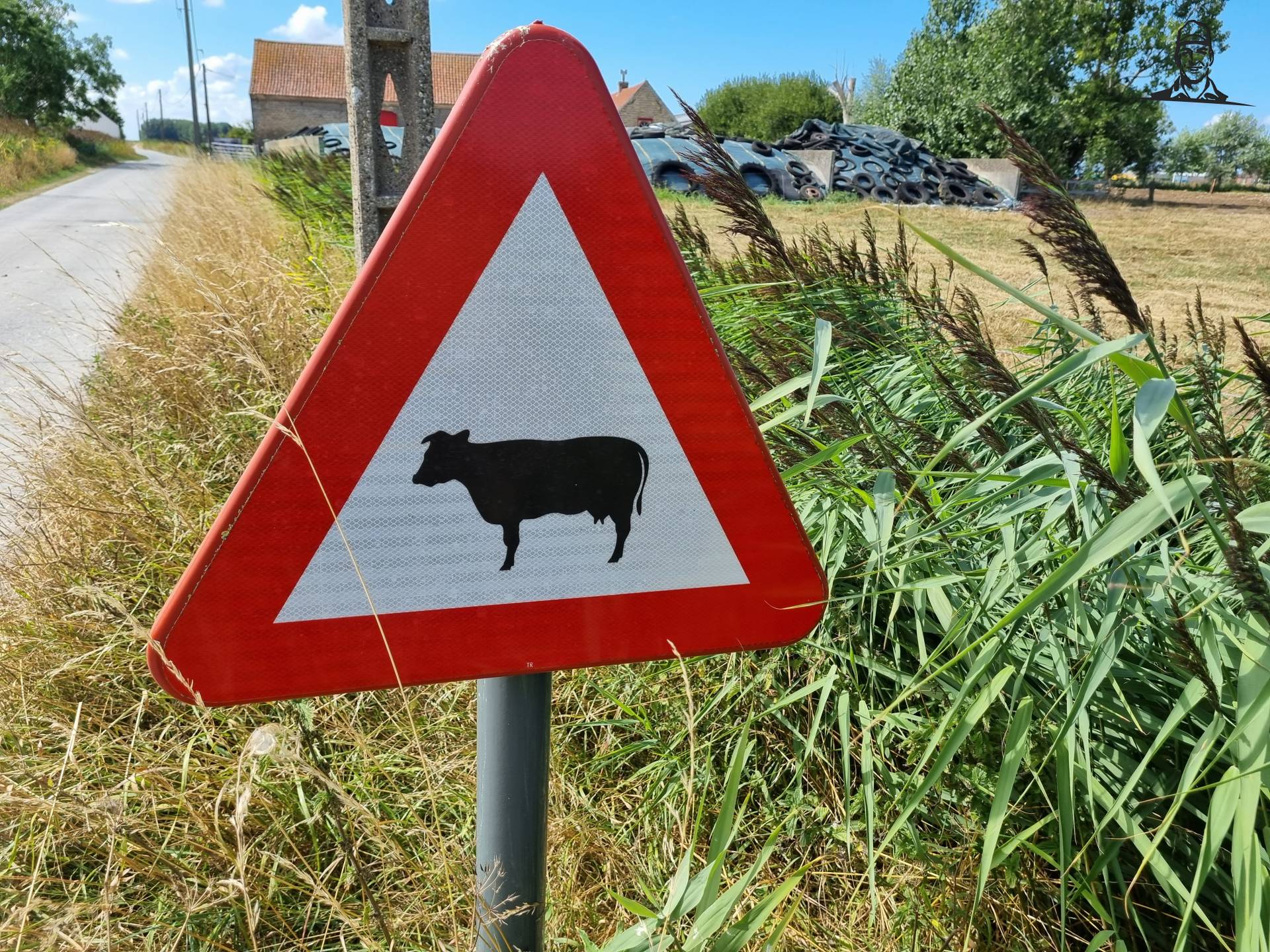 Pas op overstekende koeien van Grasbaal