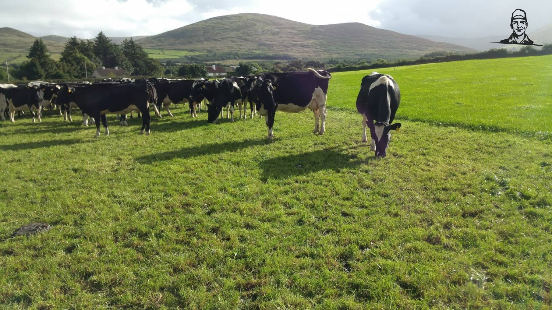 Melkveehouderij studiereis Ierland 2016 van Grasbaal