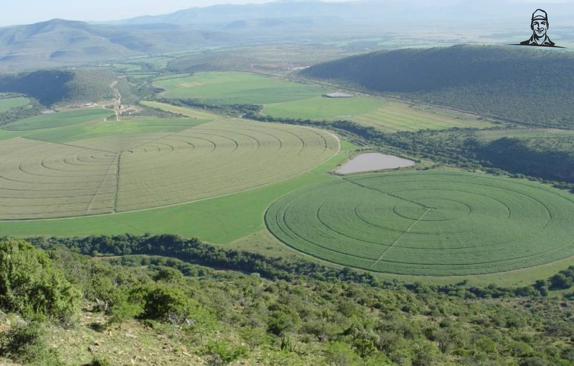 Uitzicht Zuid-Afrika van Grasbaal
