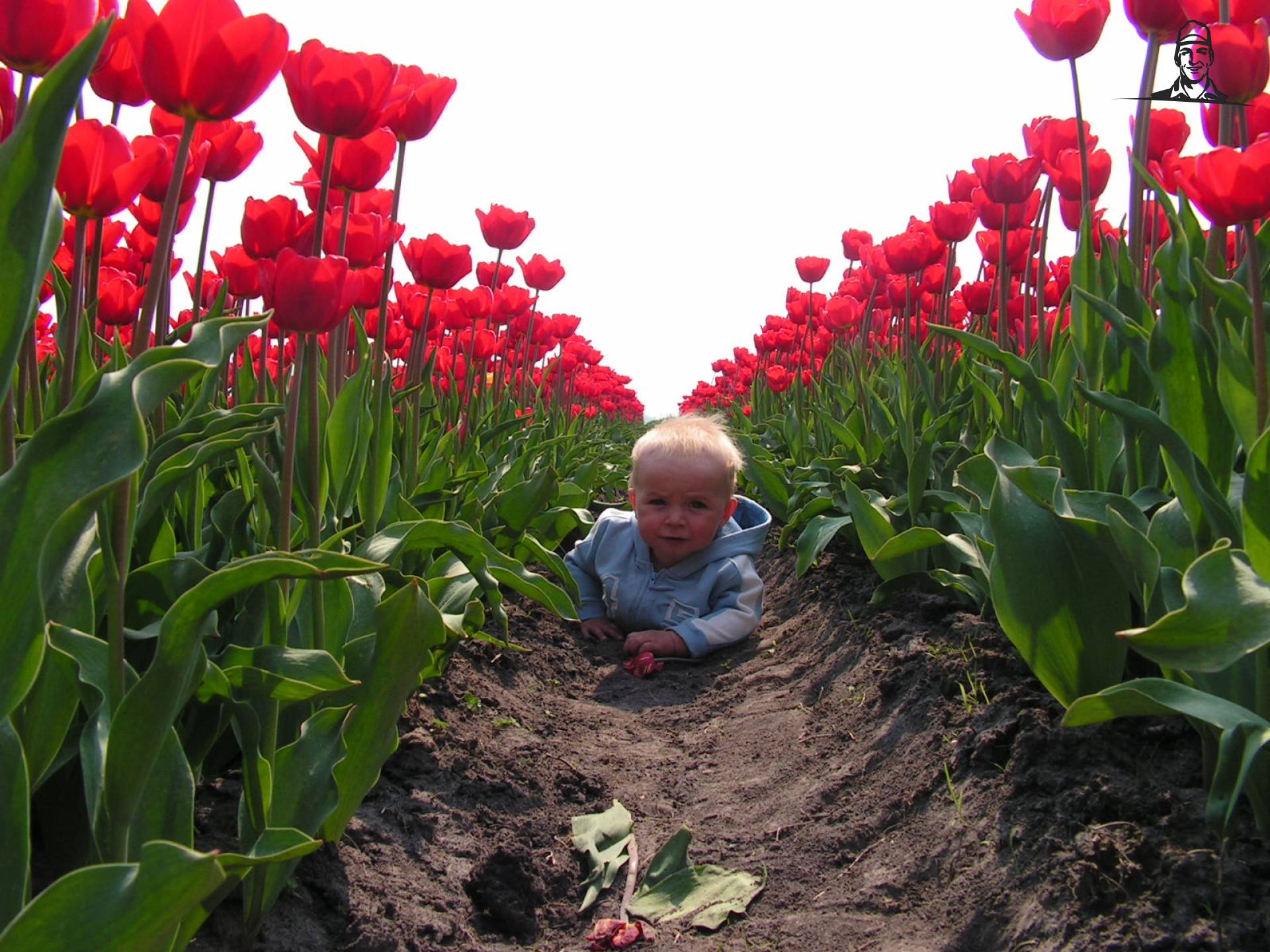 Kind tussen de bloeiende tulpen van Grasbaal