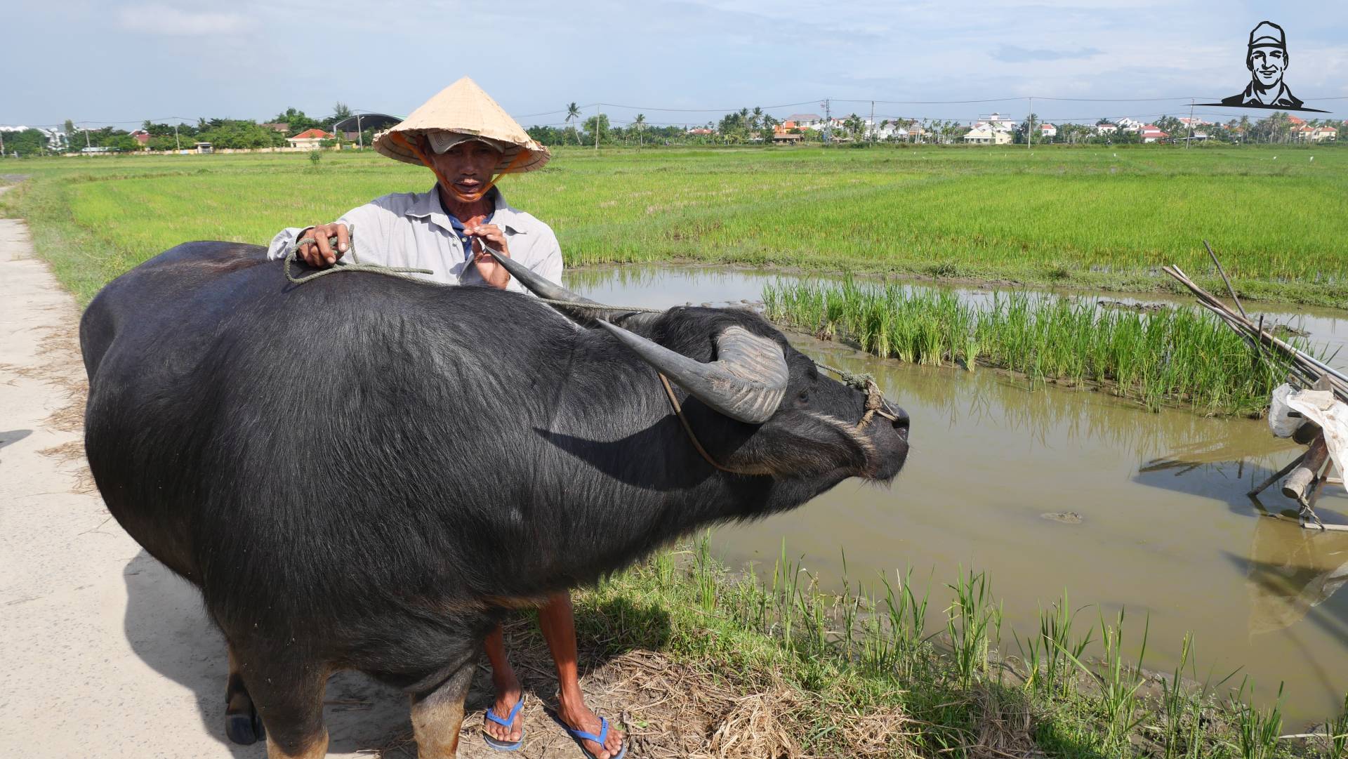 Waterbuffel Vietnam van Grasbaal