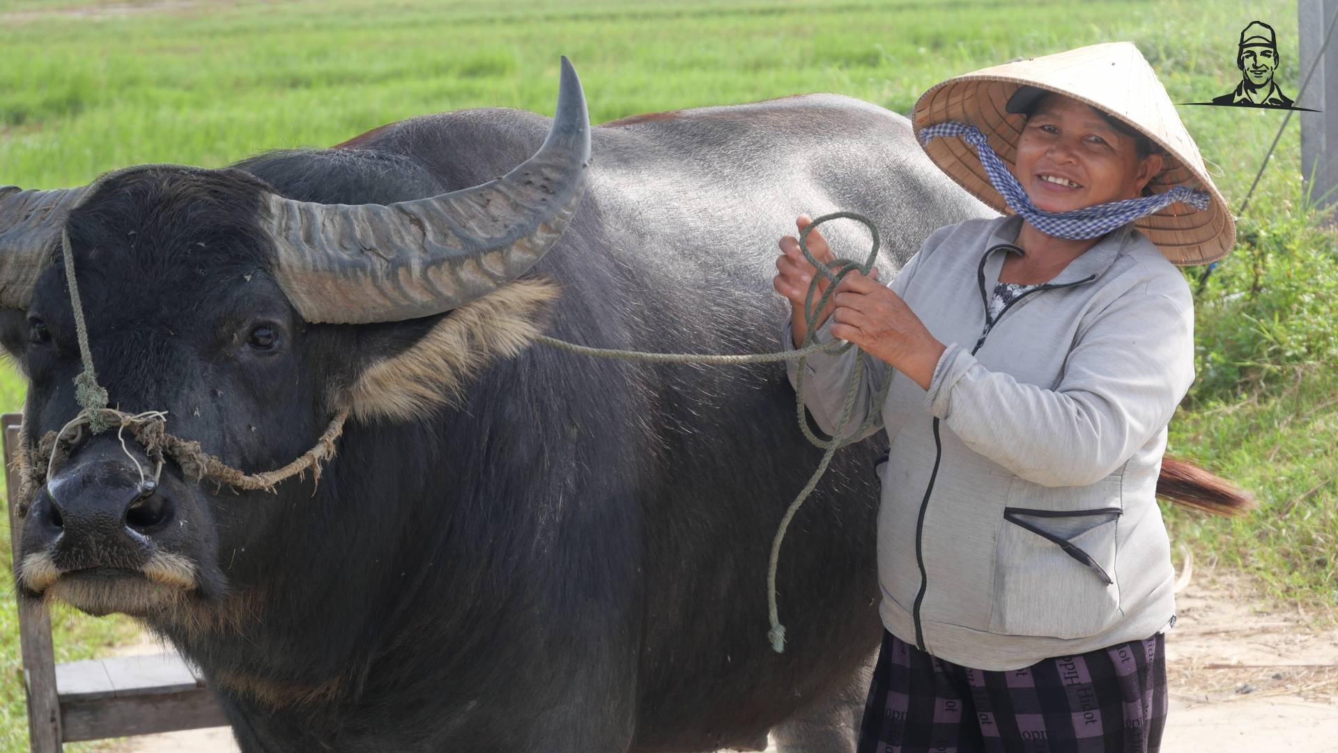 Waterbuffel Vietnam van Grasbaal