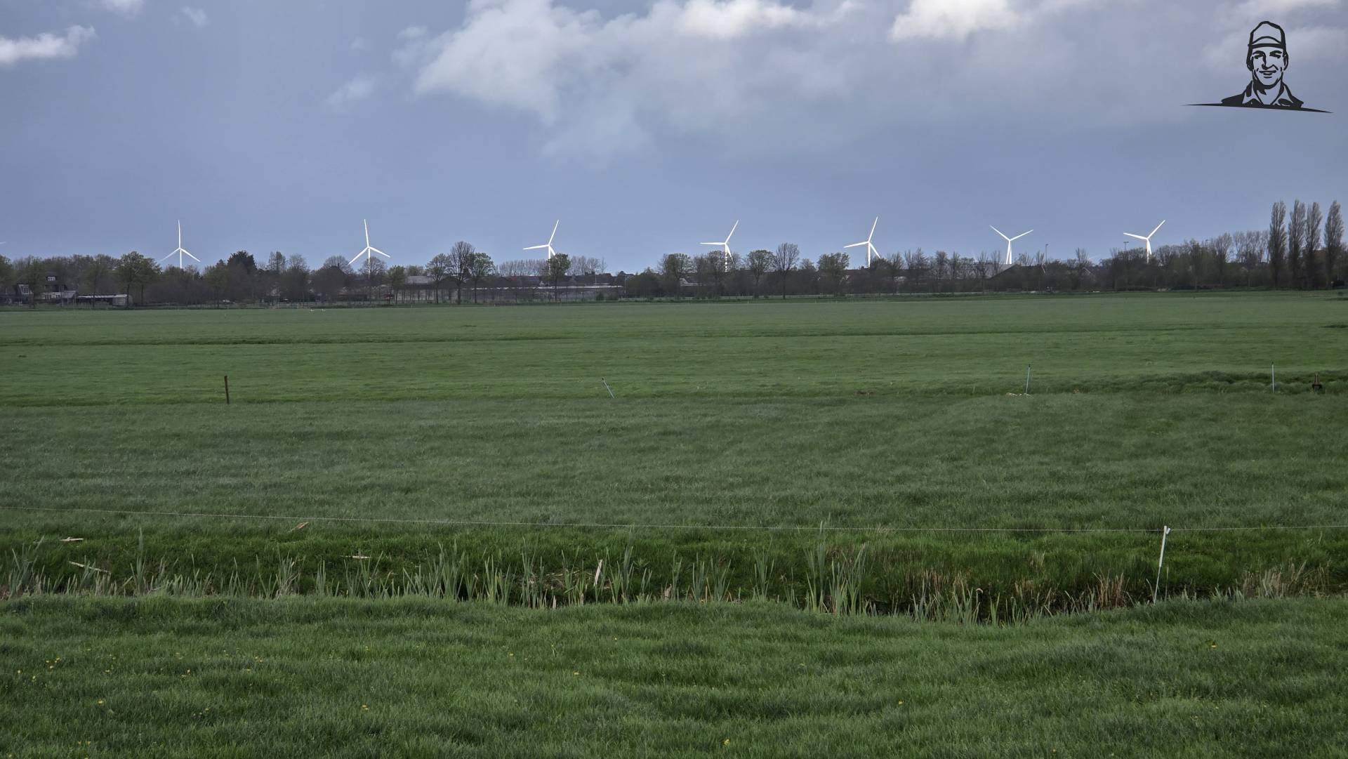 Windmolens in Noorhollands platteland van Grasbaal