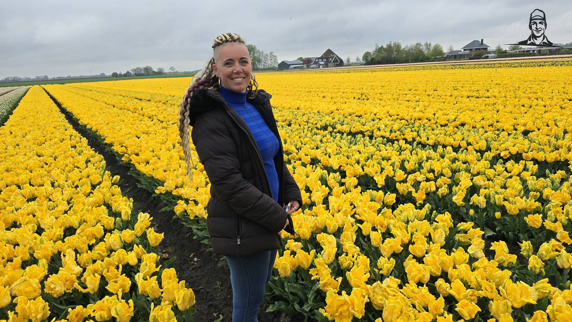 Gele Tulpen van Grasbaal