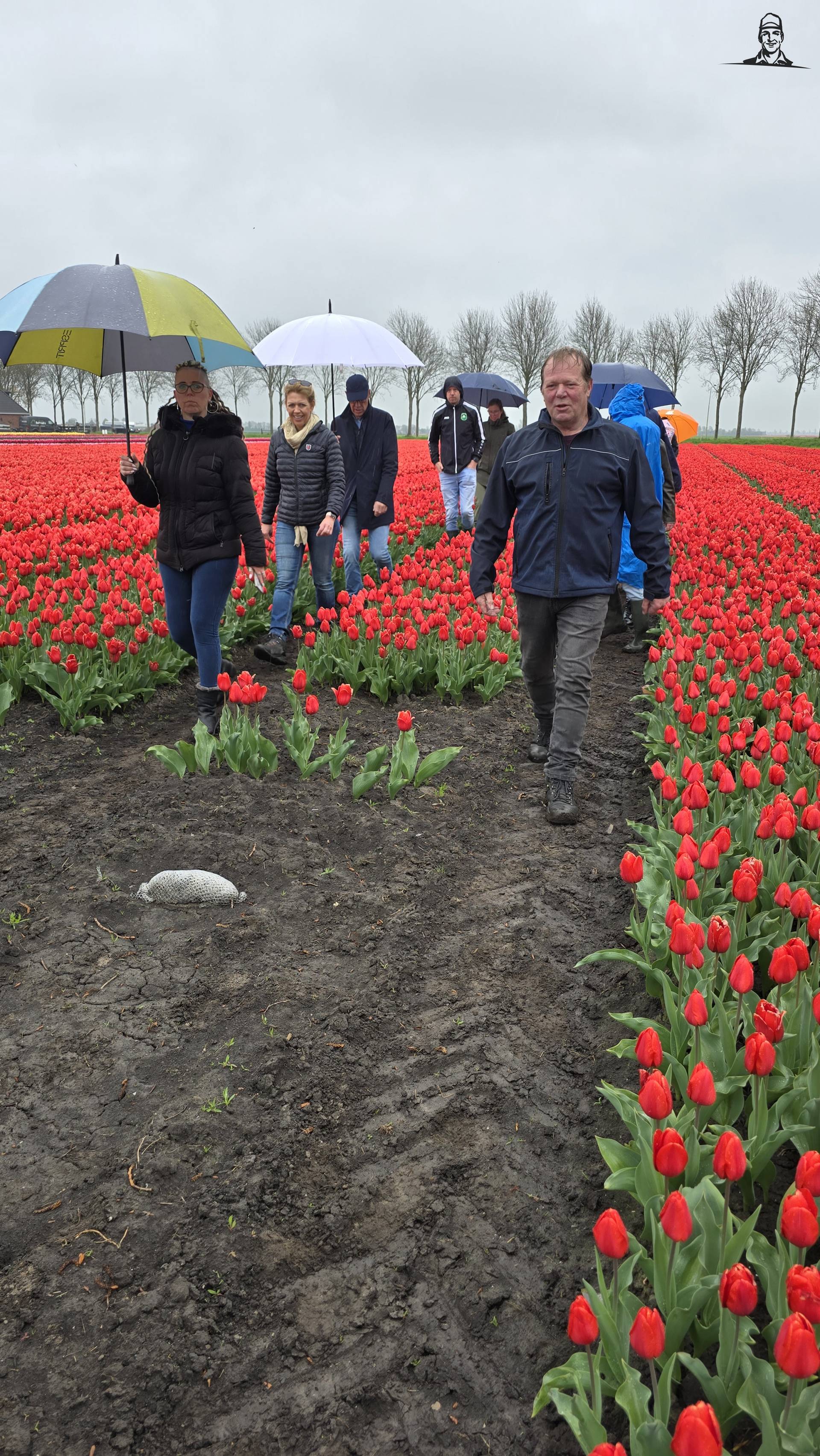 Wandelaars in tulpenveld van Grasbaal