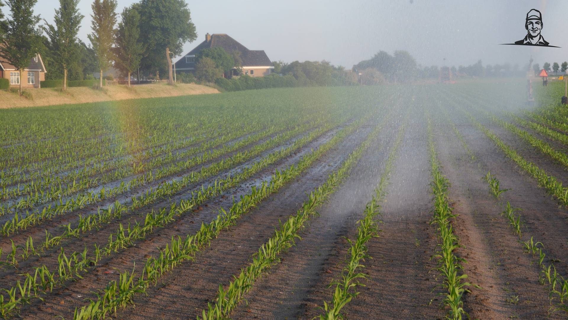 Maisland beregenen met haspel van Grasbaal