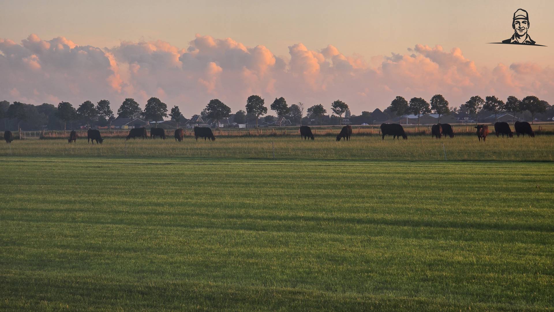 Je ziet een prachtig Hollands landschap bij zonsondergang of zonsopkomst. Op de voorgrond ligt...