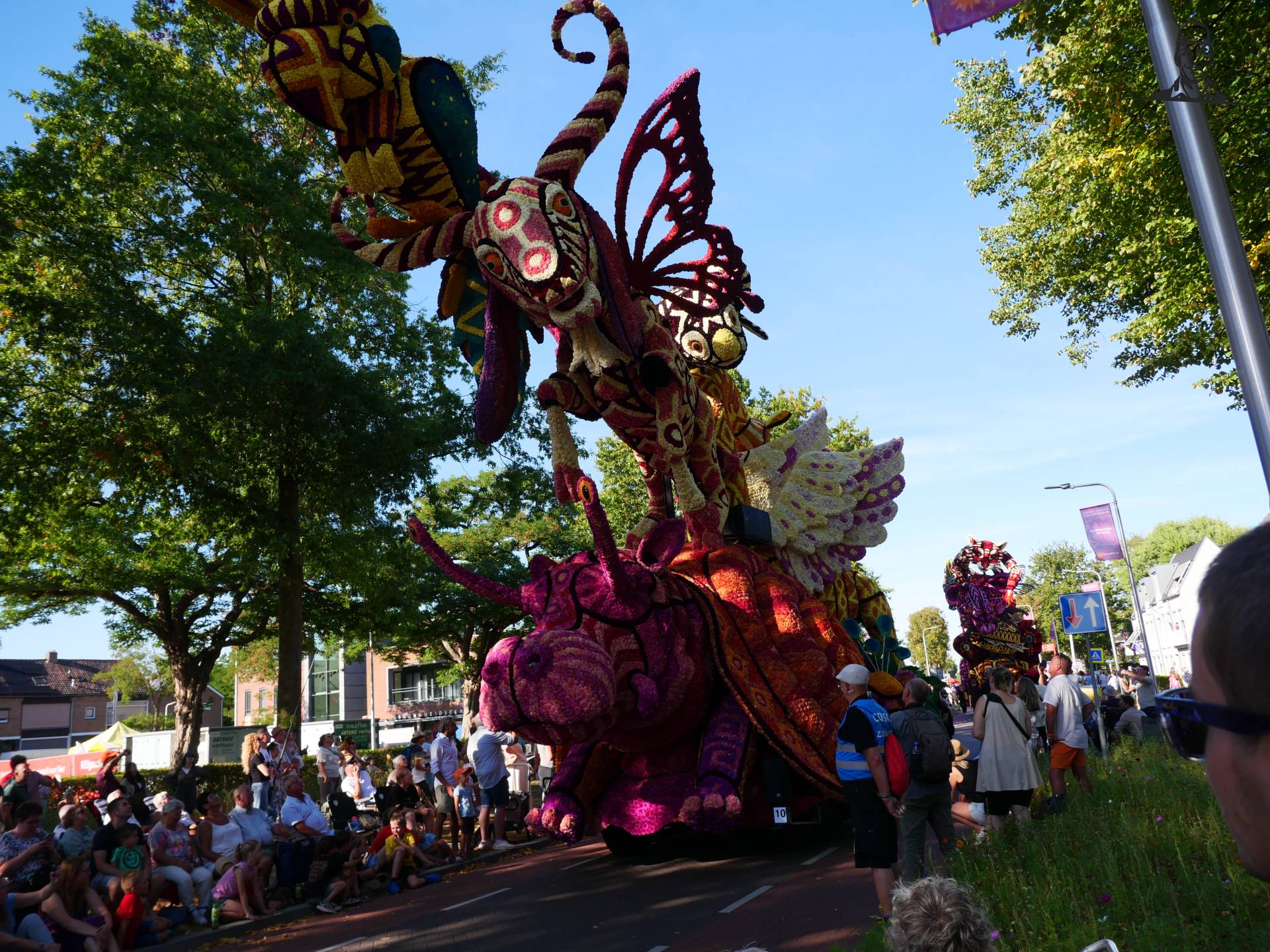Bloemen blijven een publiekstrekker. van Grasbaal